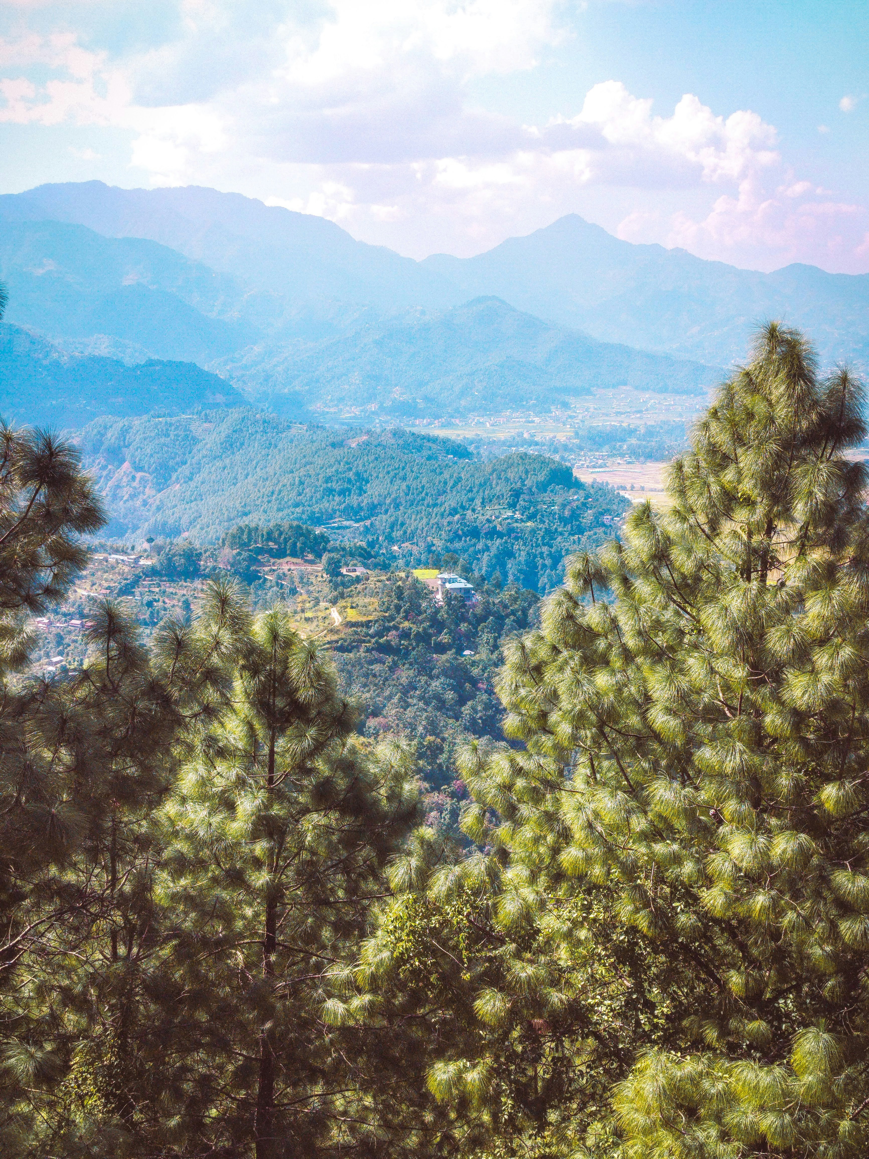 Photo by narmesh_sah