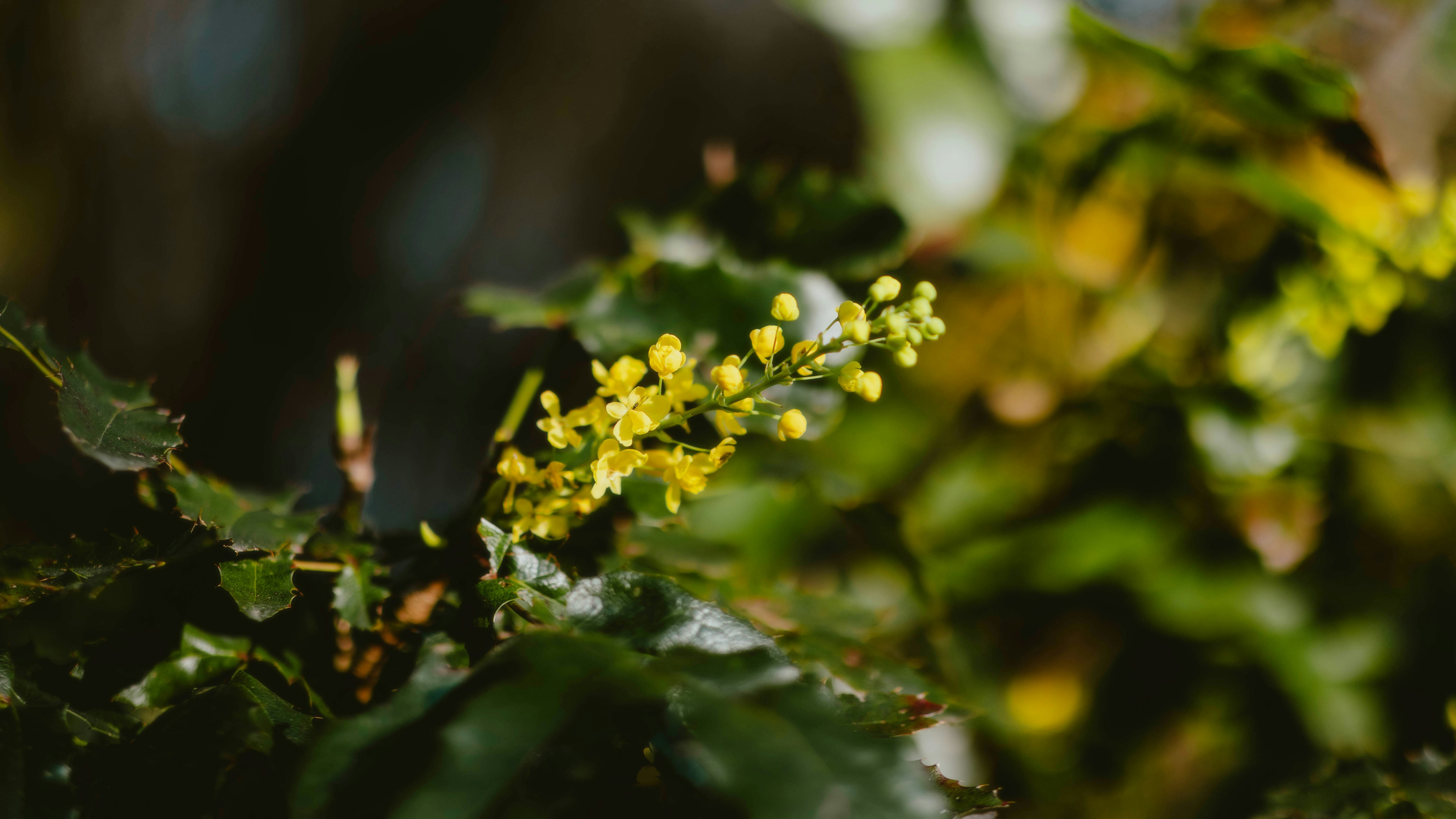 Photo by alingavriliuc