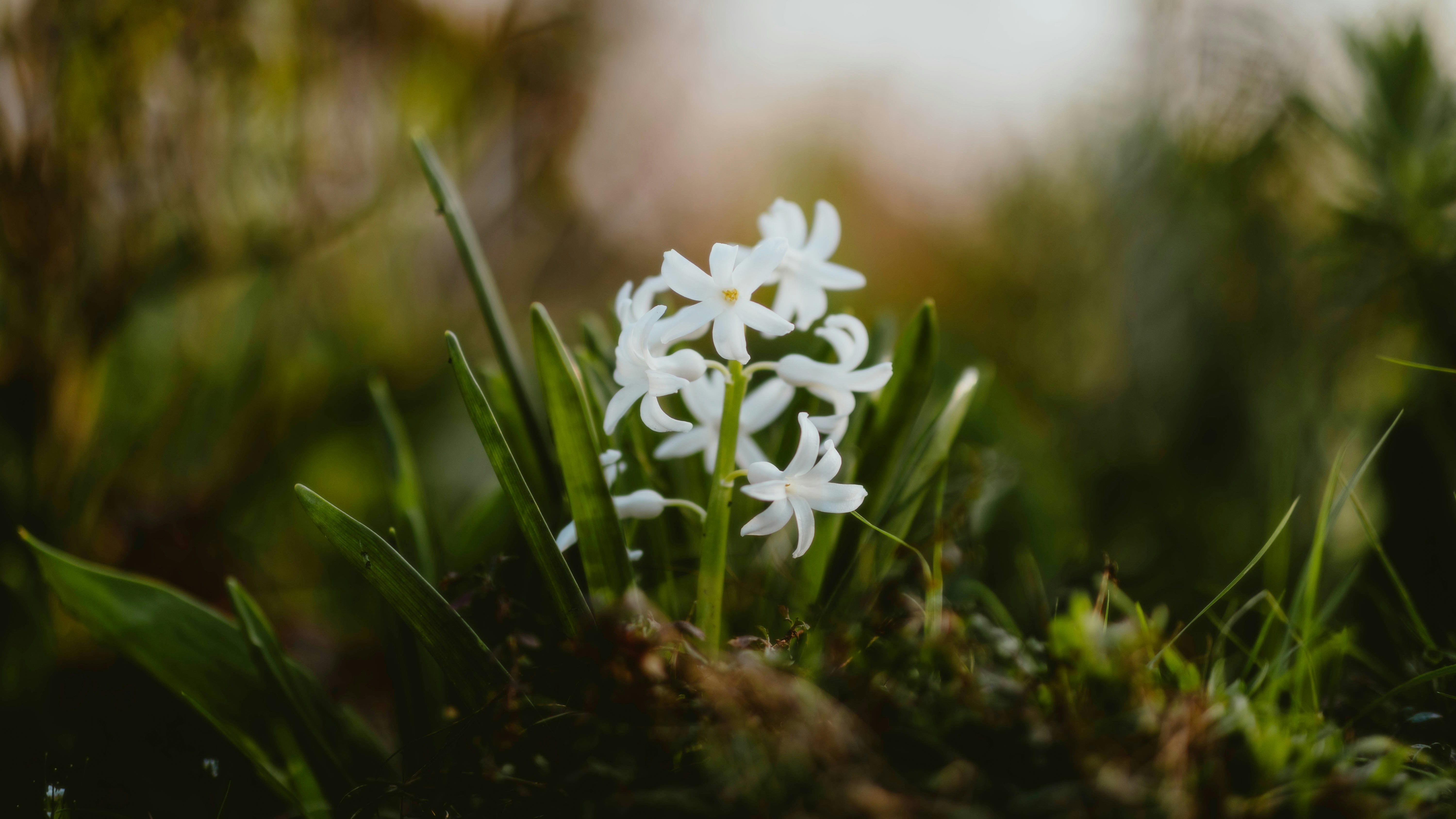 Photo by alingavriliuc