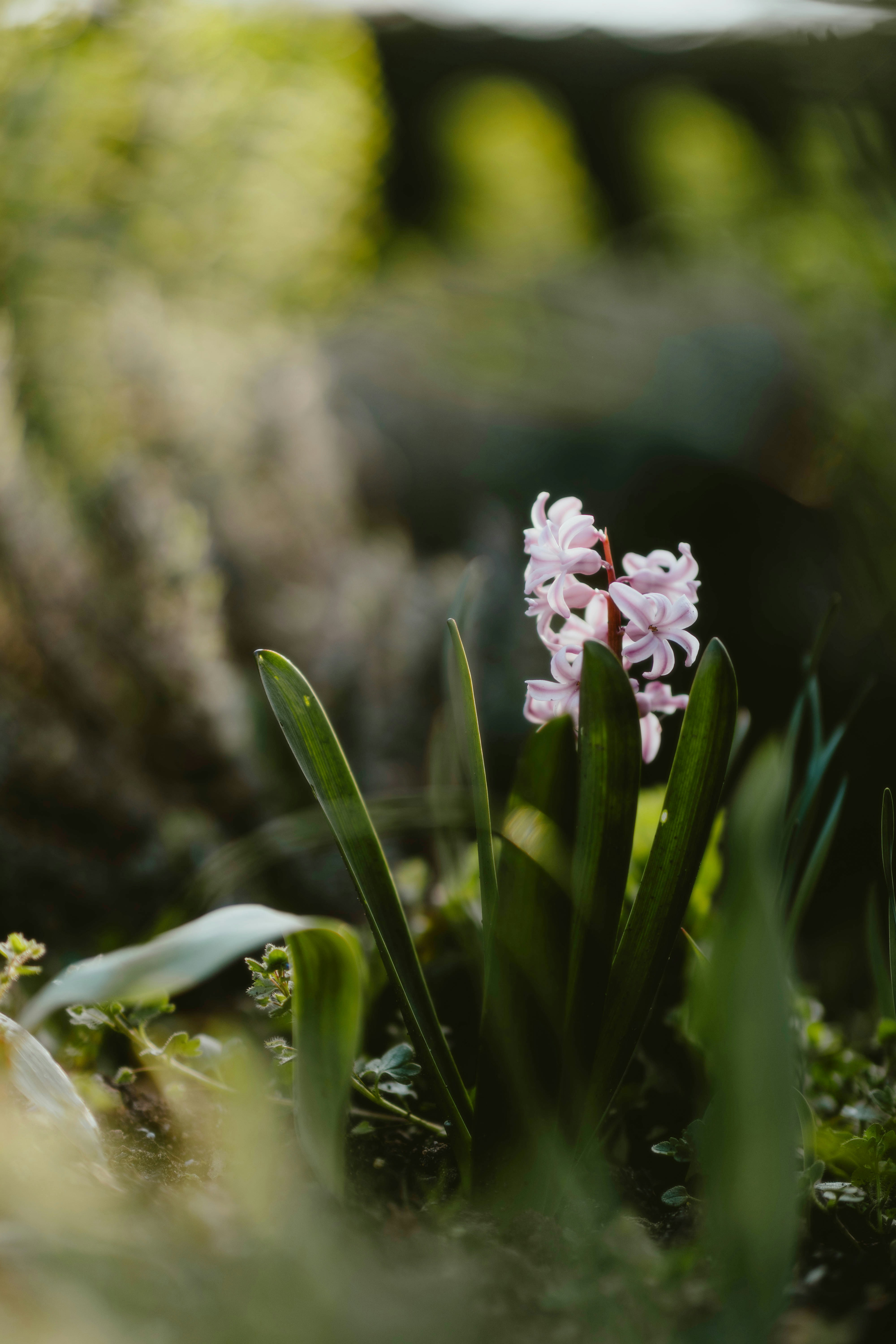 Photo by alingavriliuc