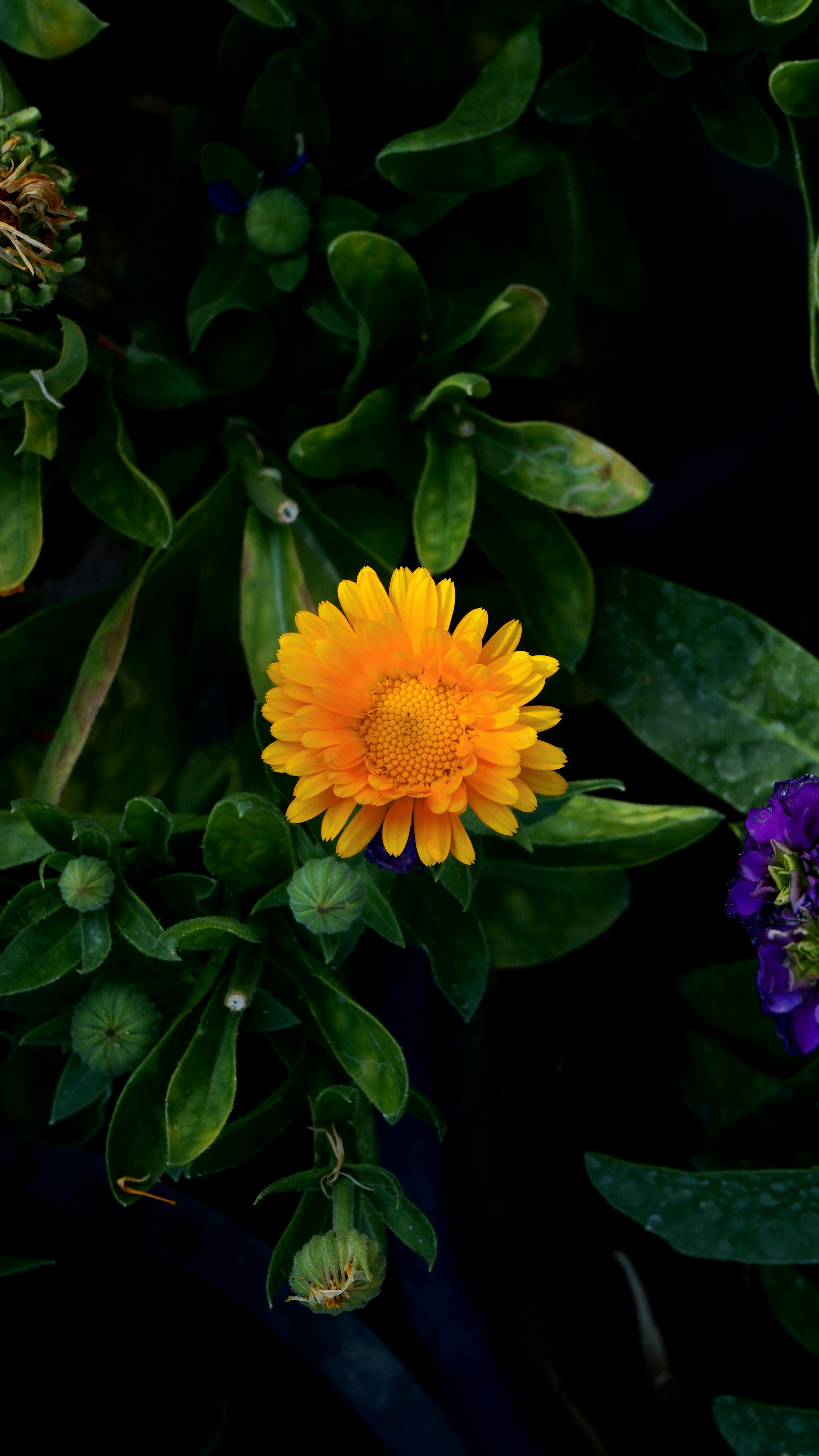 Photo by jatinsinger_2003