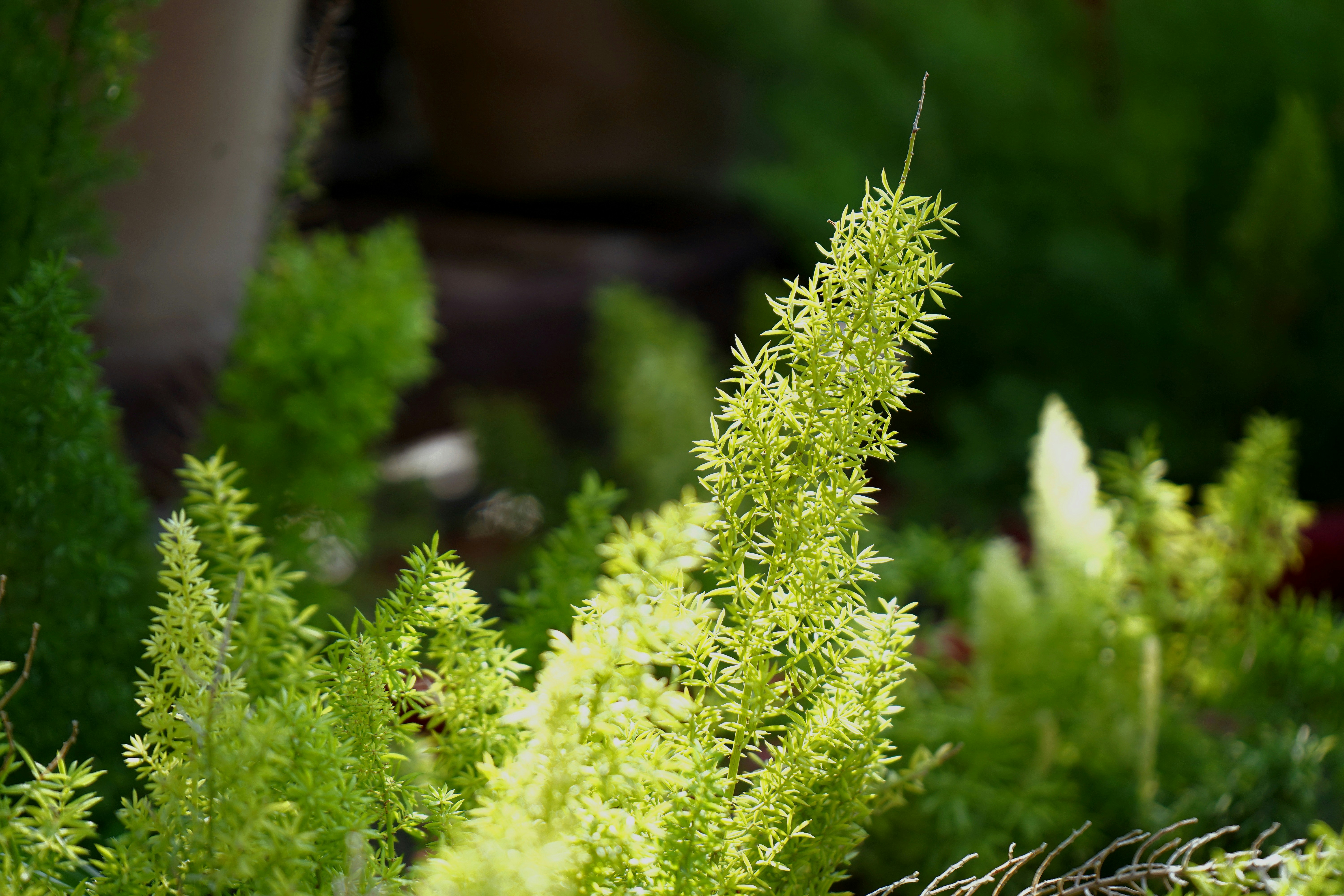 Photo by jatinsinger_2003