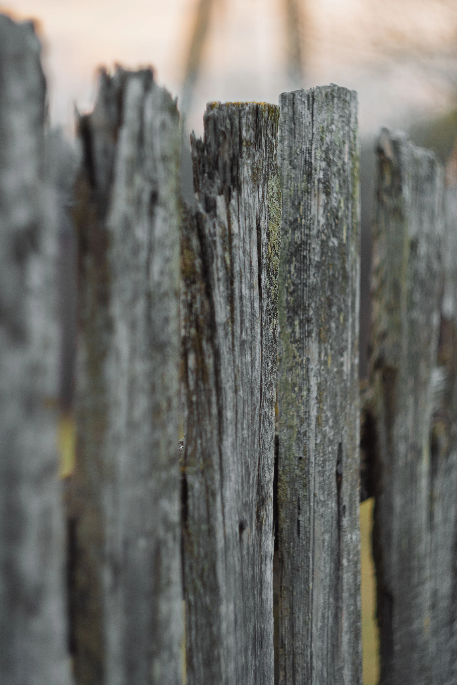 Weathered wooden fence posts and boards in a yard.