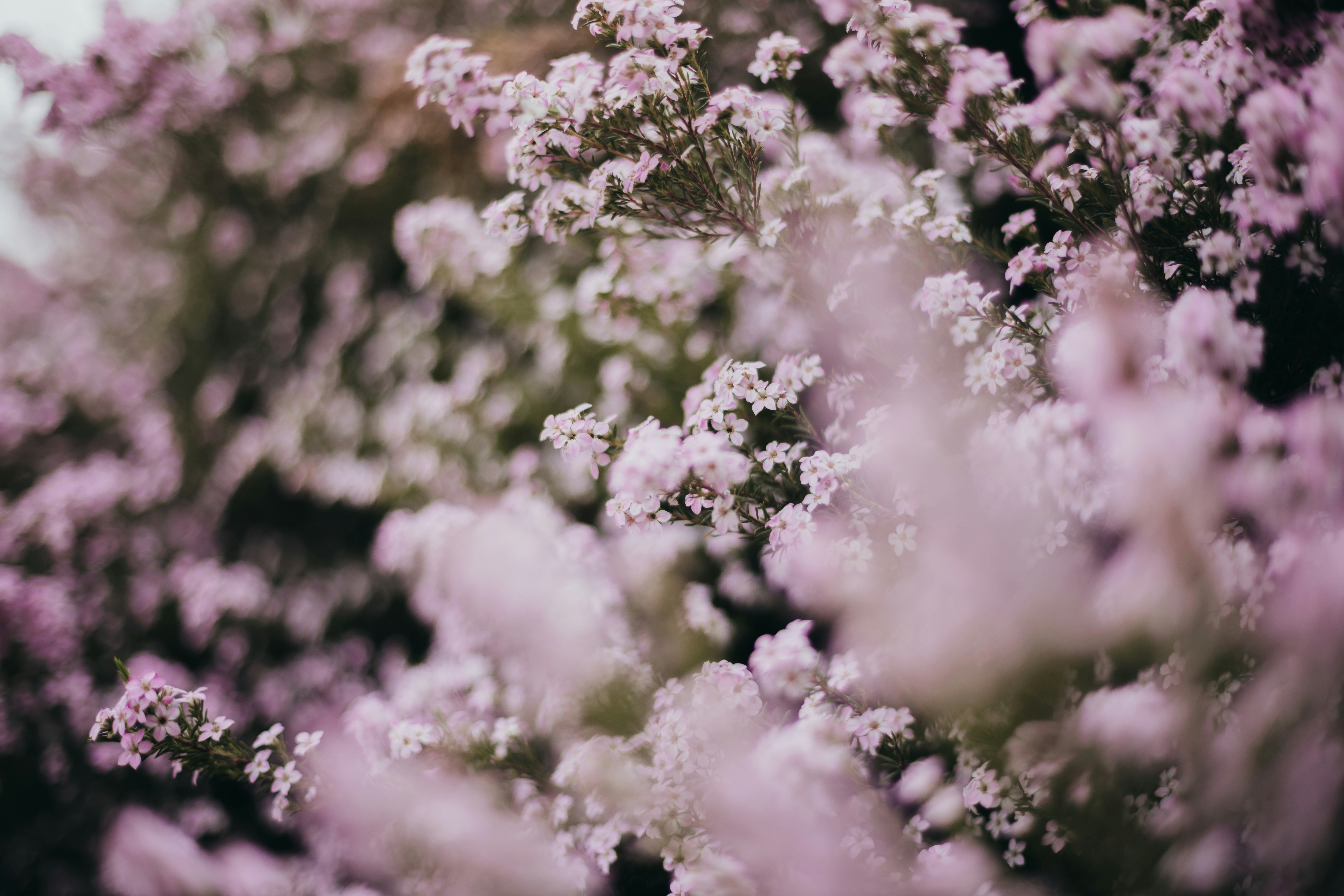 Photo by sixteenmilesout