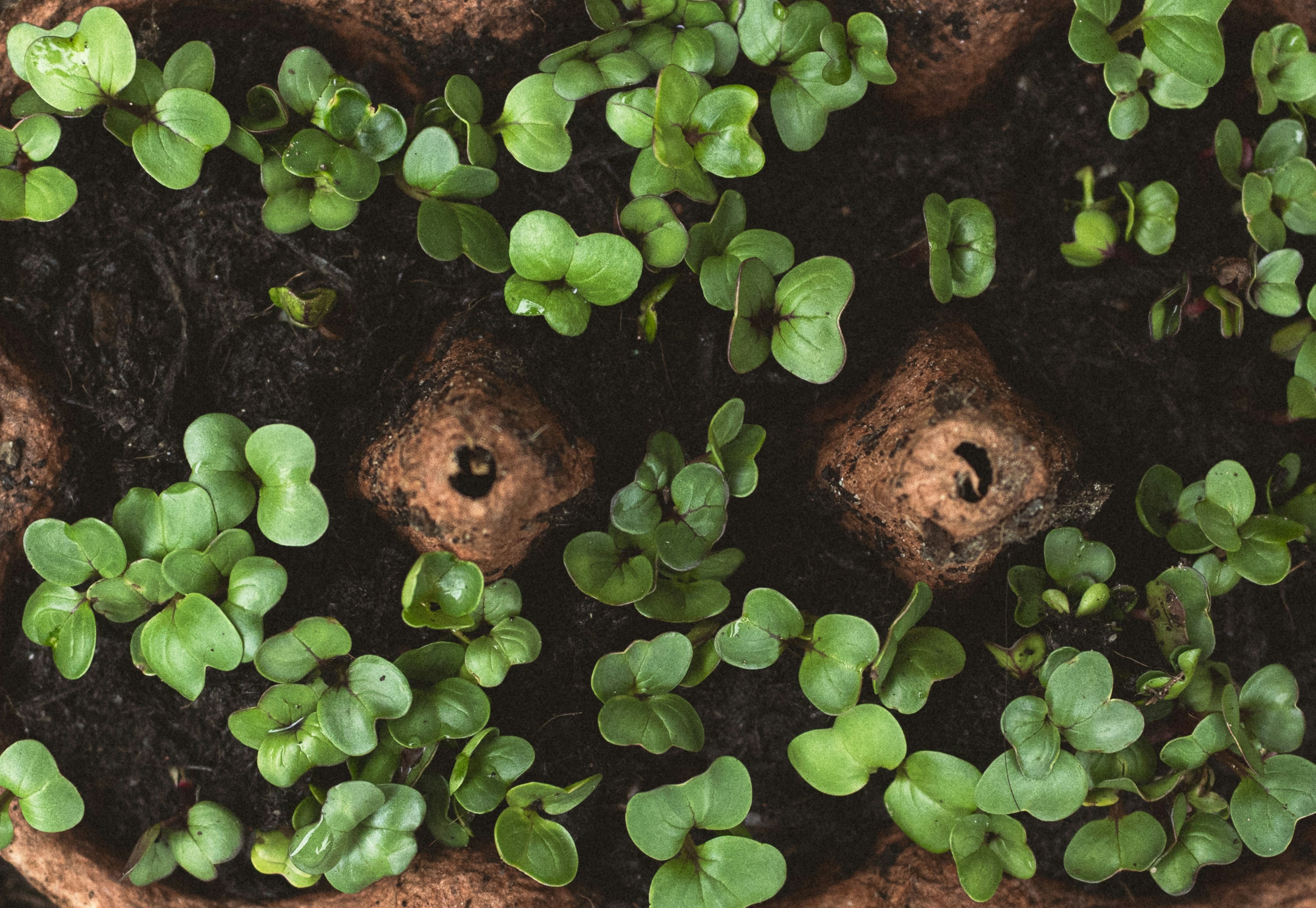 Photo by ellyendeavours