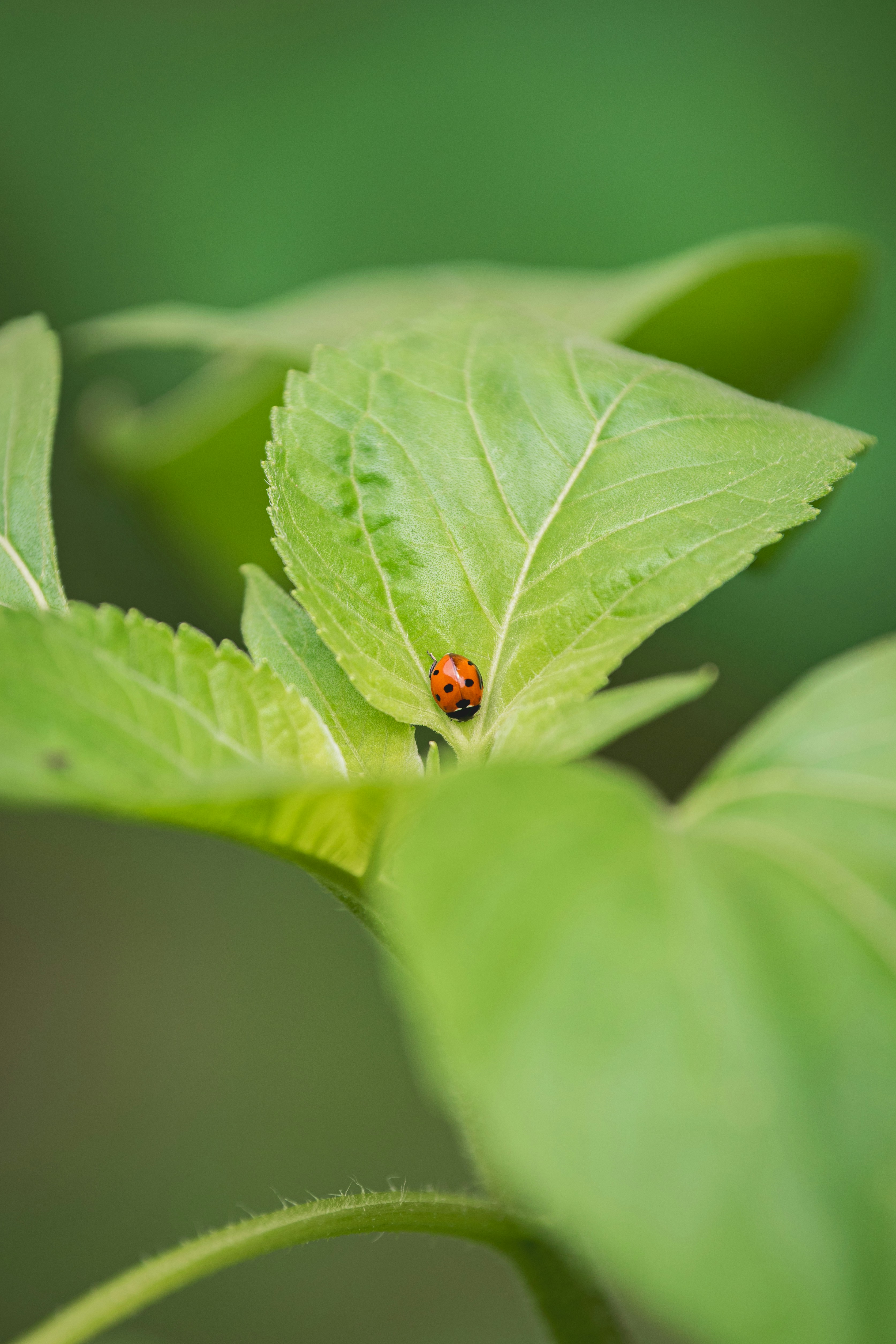 Photo by ellyendeavours