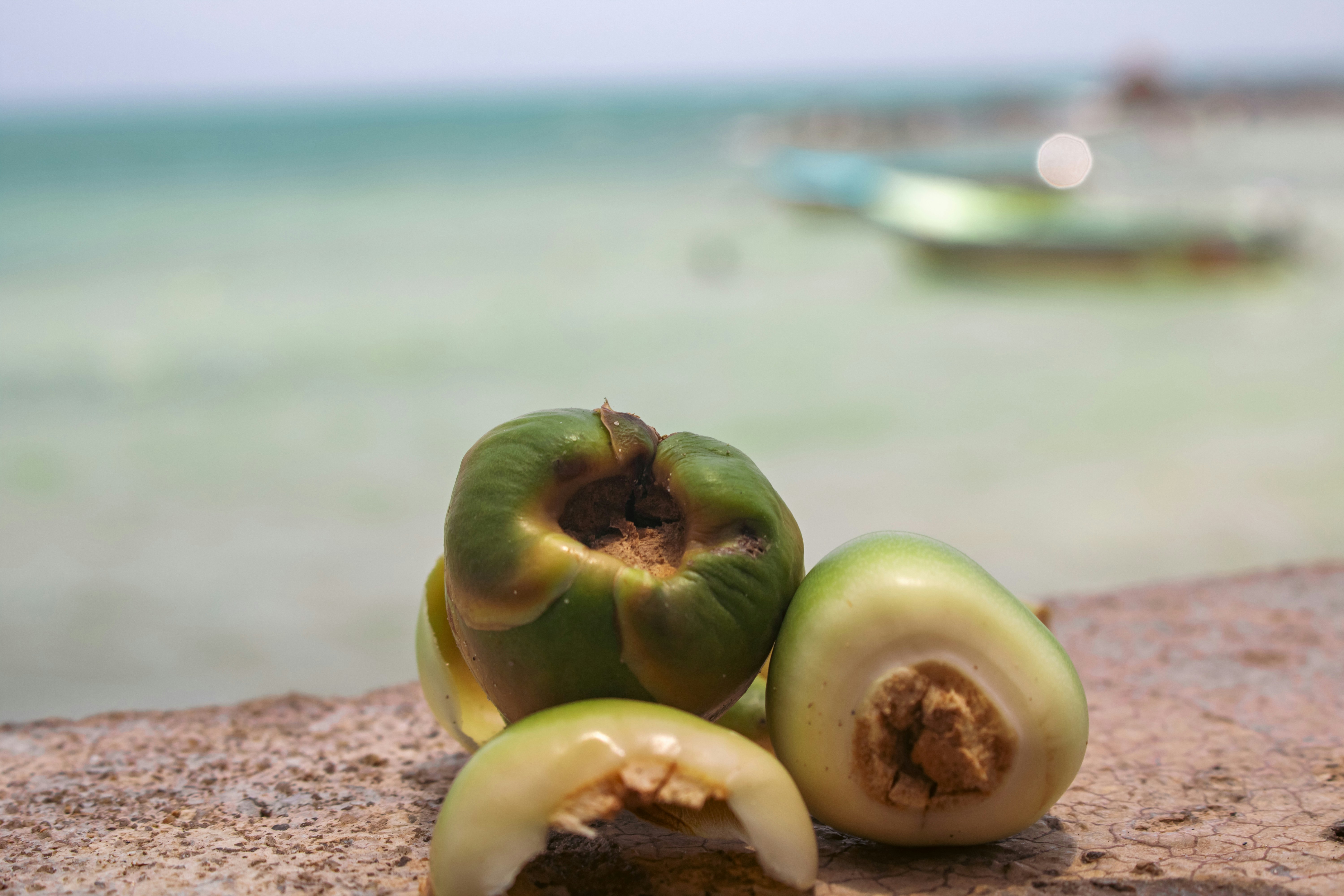 Green fruits sit on a wall with ocean background.