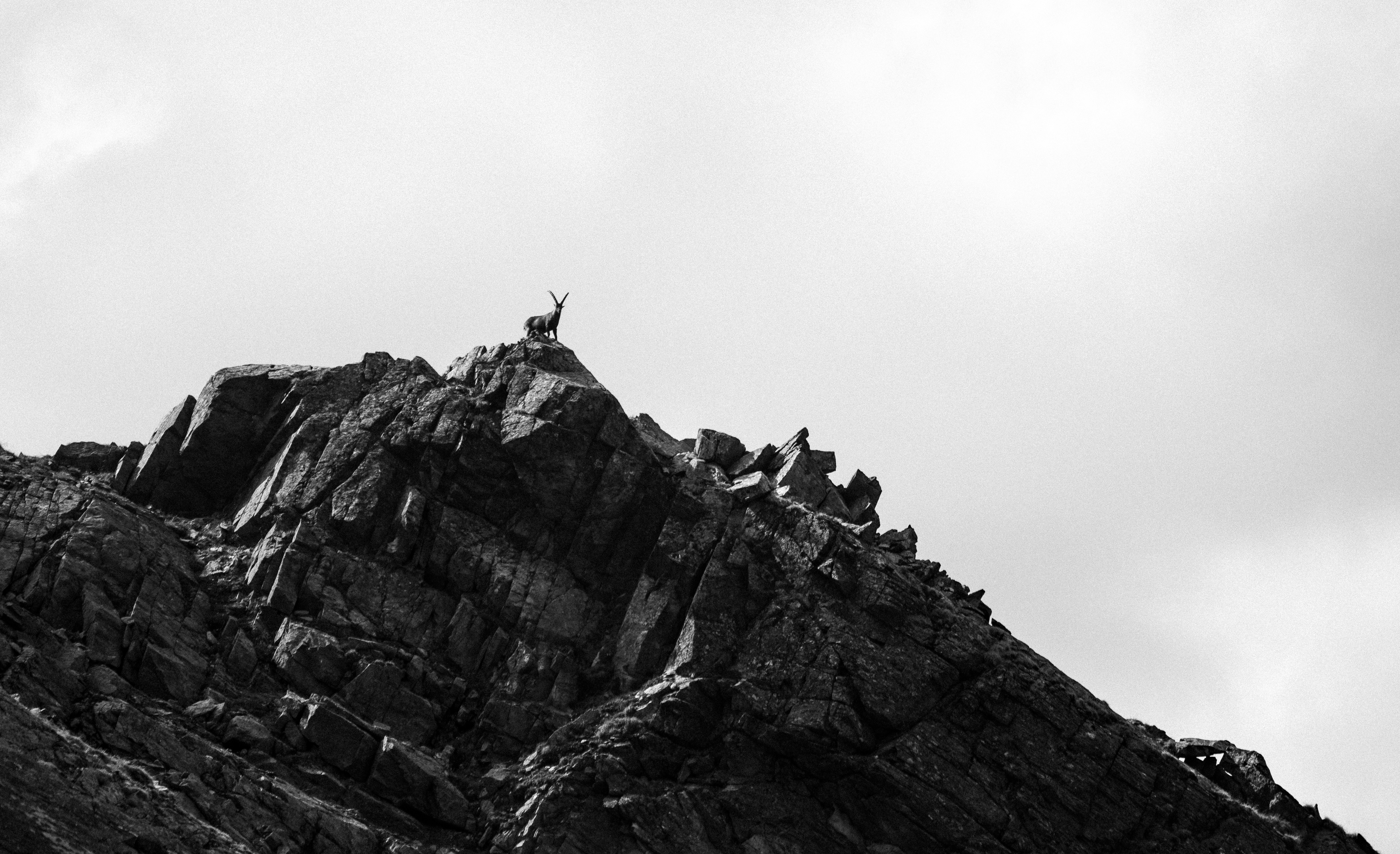 Photo by marekpiwnicki