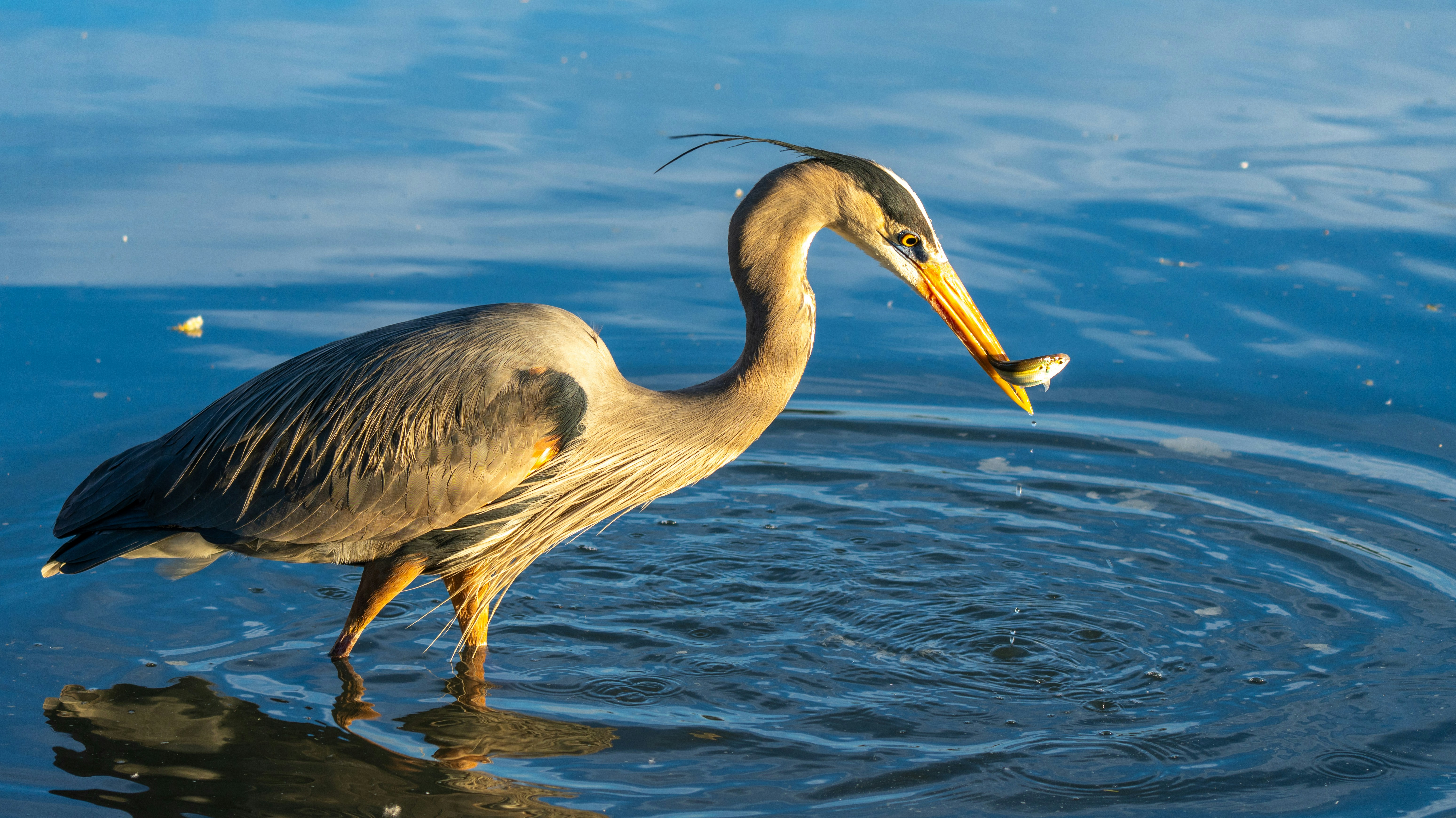 Photo by jcnonstop87