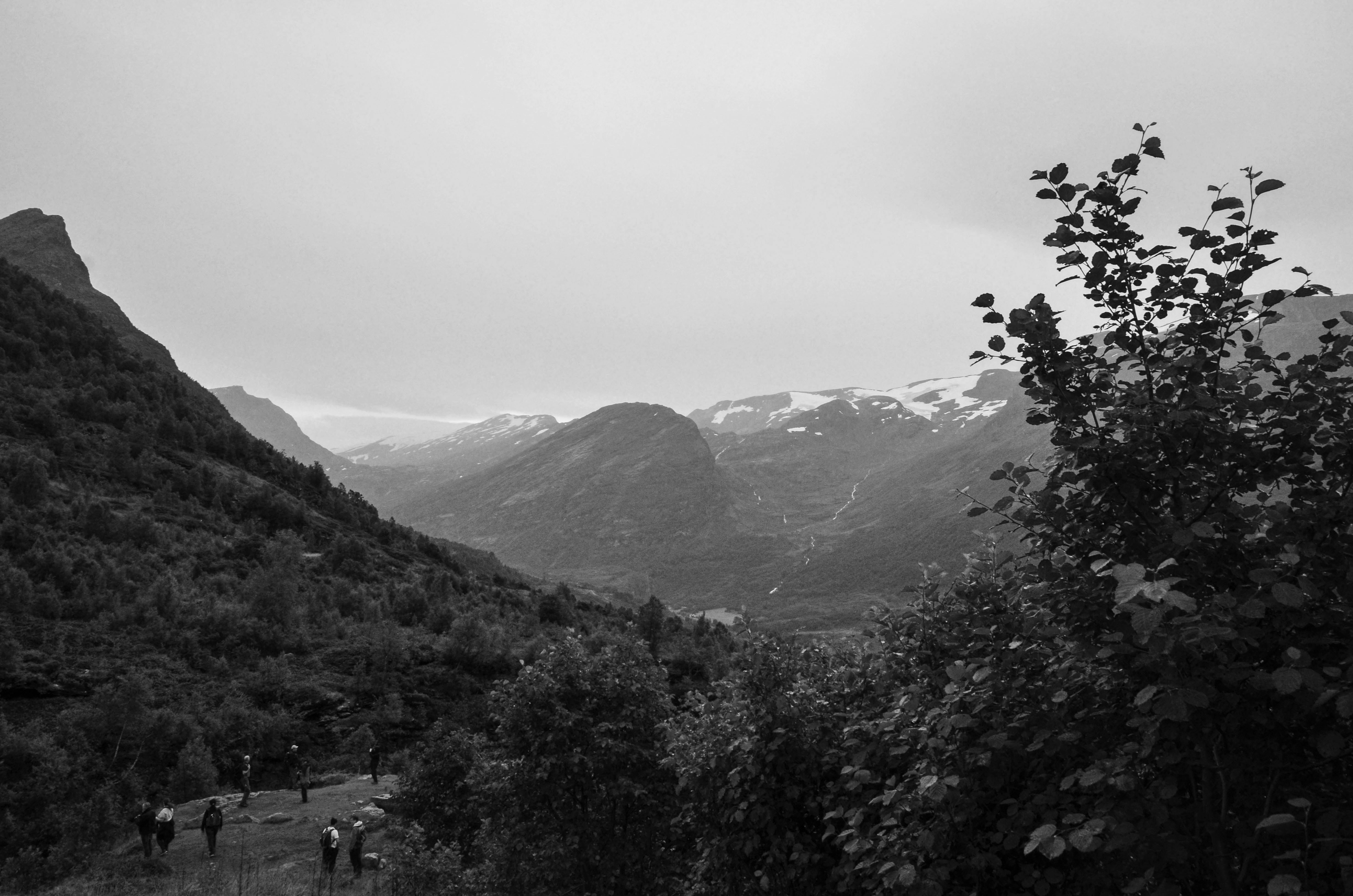 Photo by carolina_bedoya