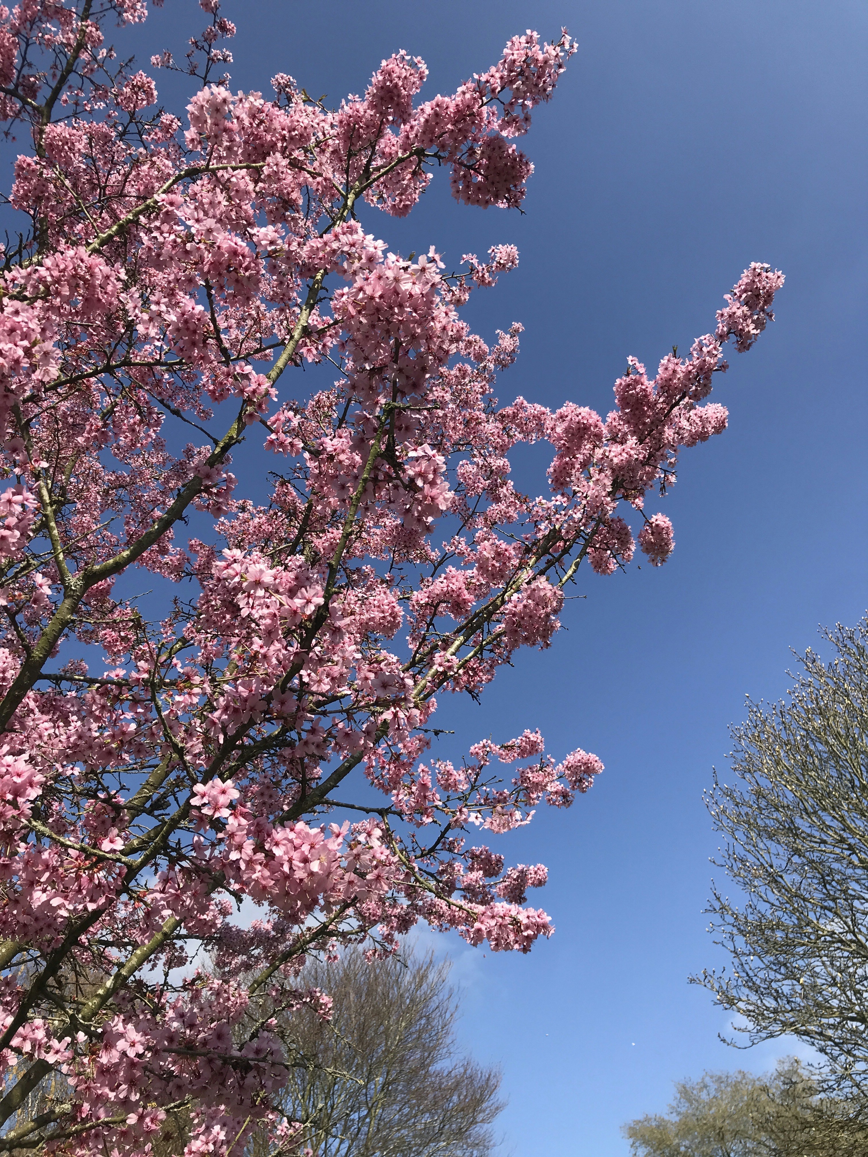 Photo by myworldisblue