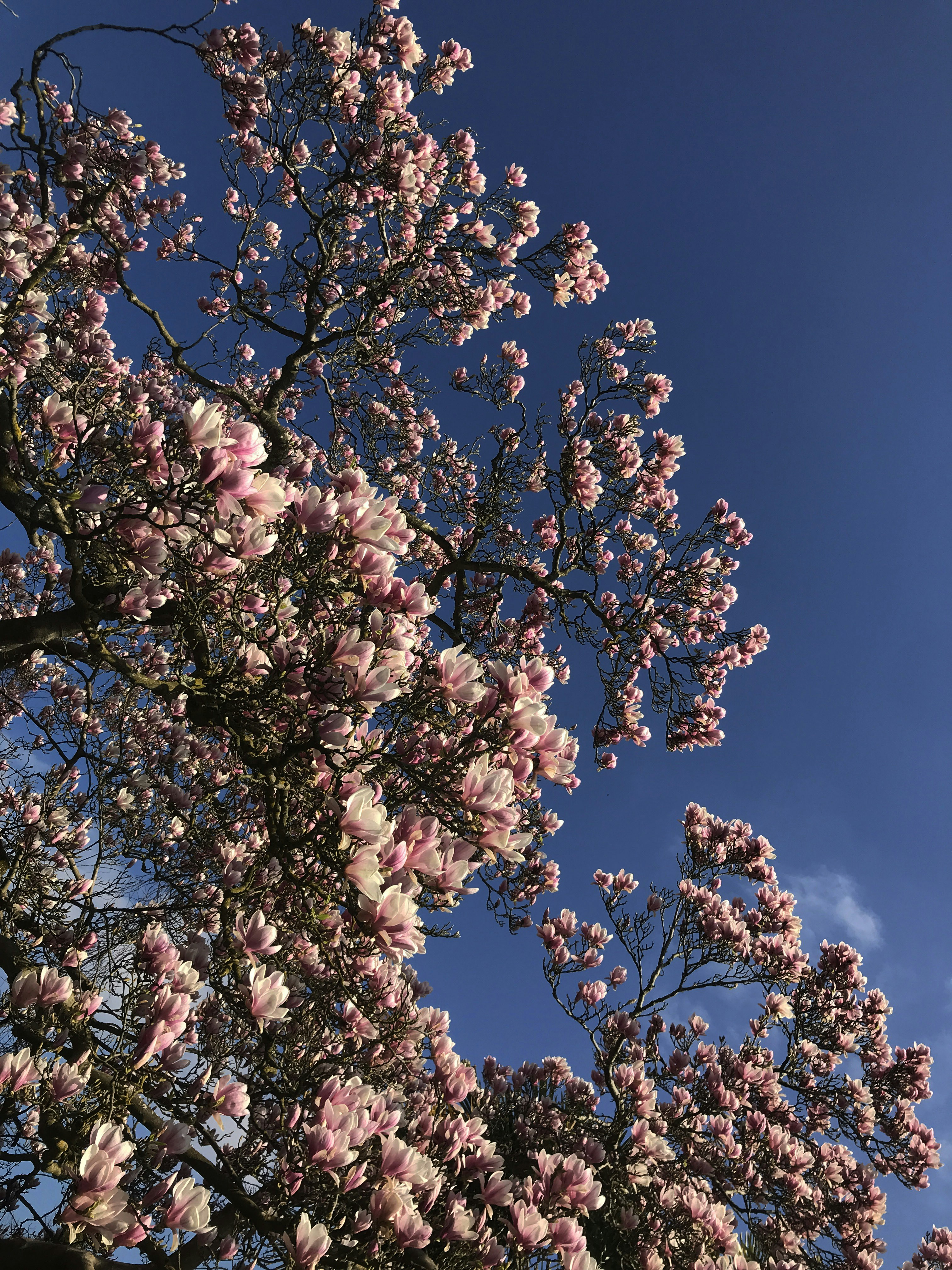 Photo by myworldisblue