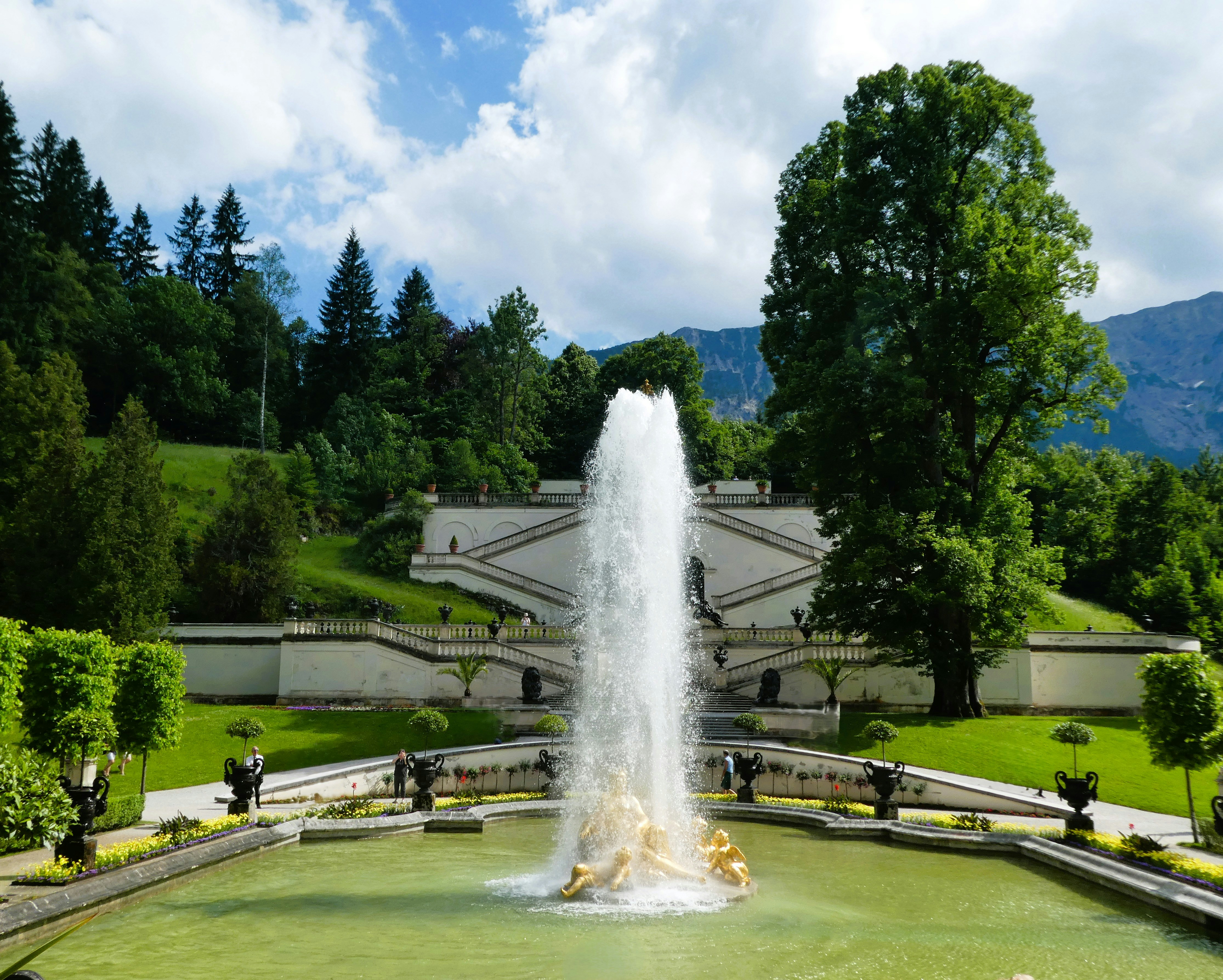 Una fuente rocía agua en un hermoso jardín.