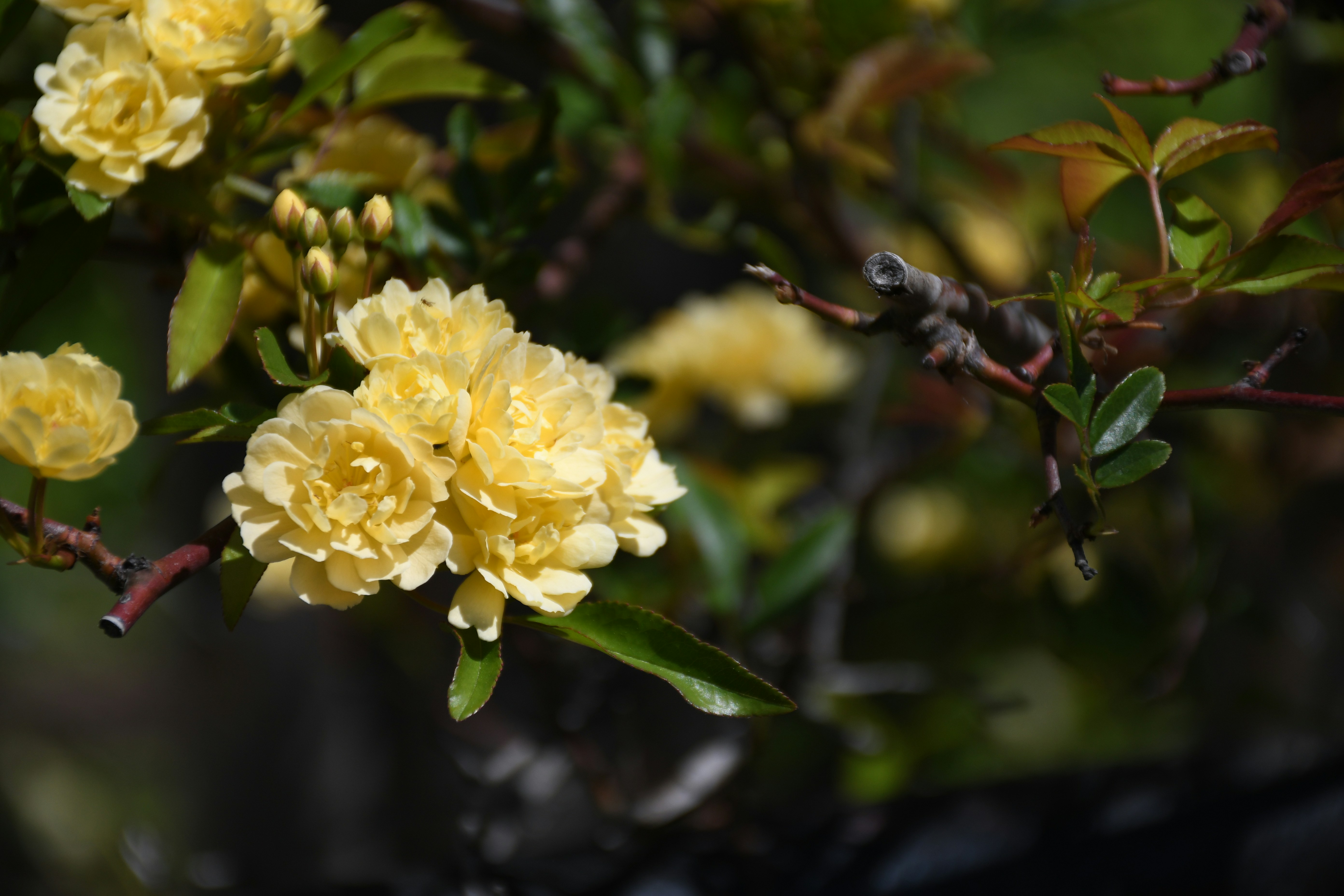 Photo by naturalist_boat