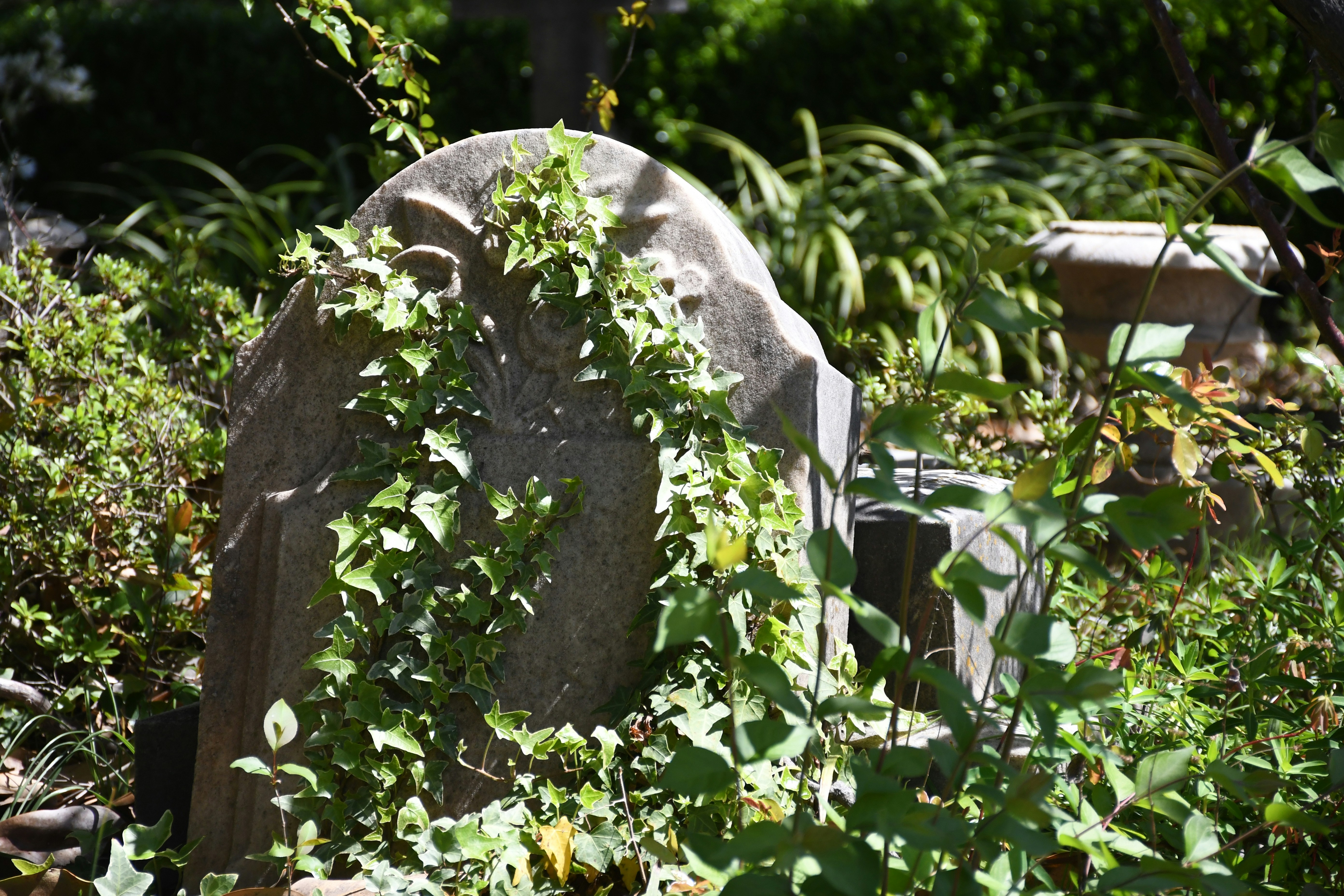 Photo by naturalist_boat