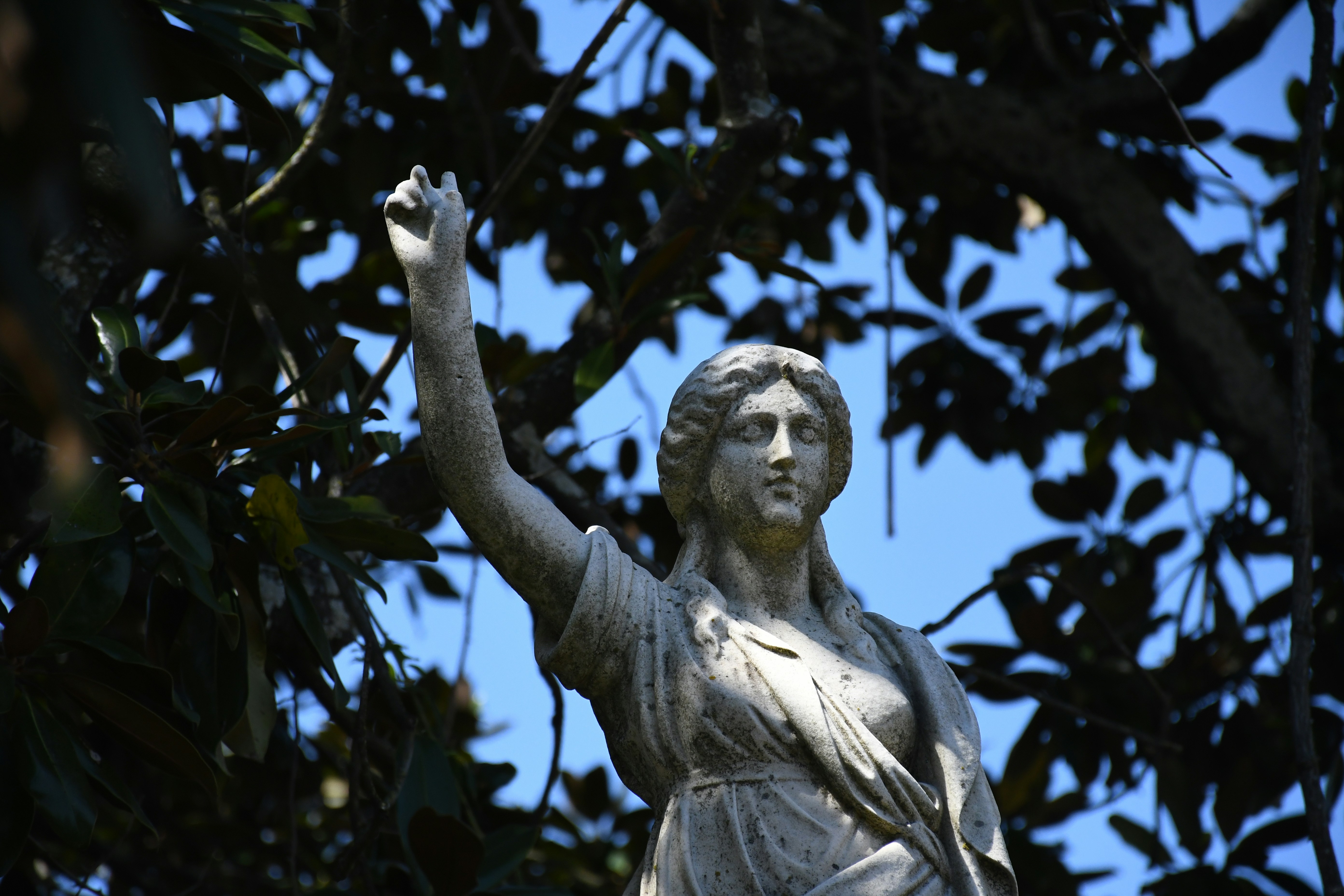 Photo by naturalist_boat