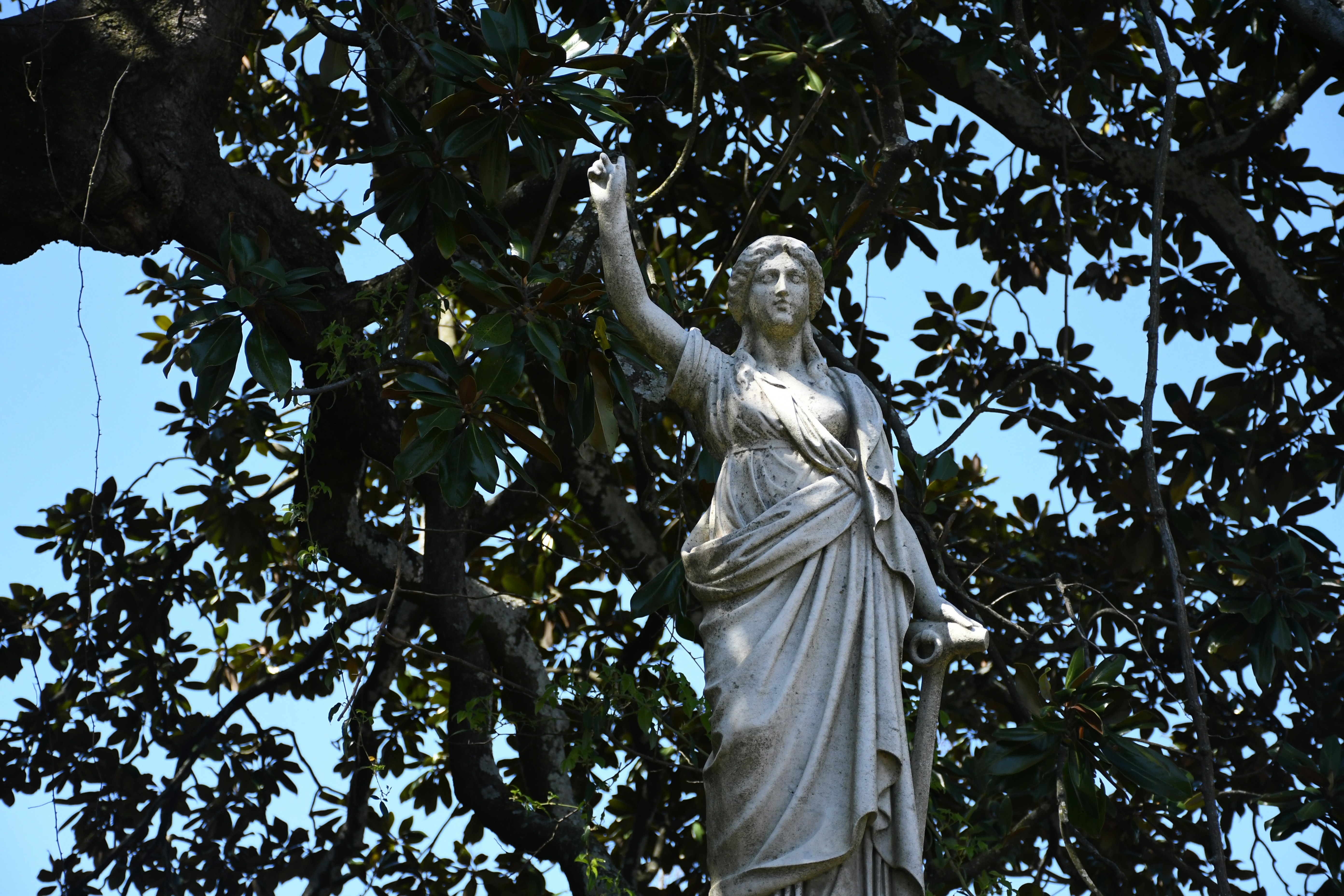 Photo by naturalist_boat