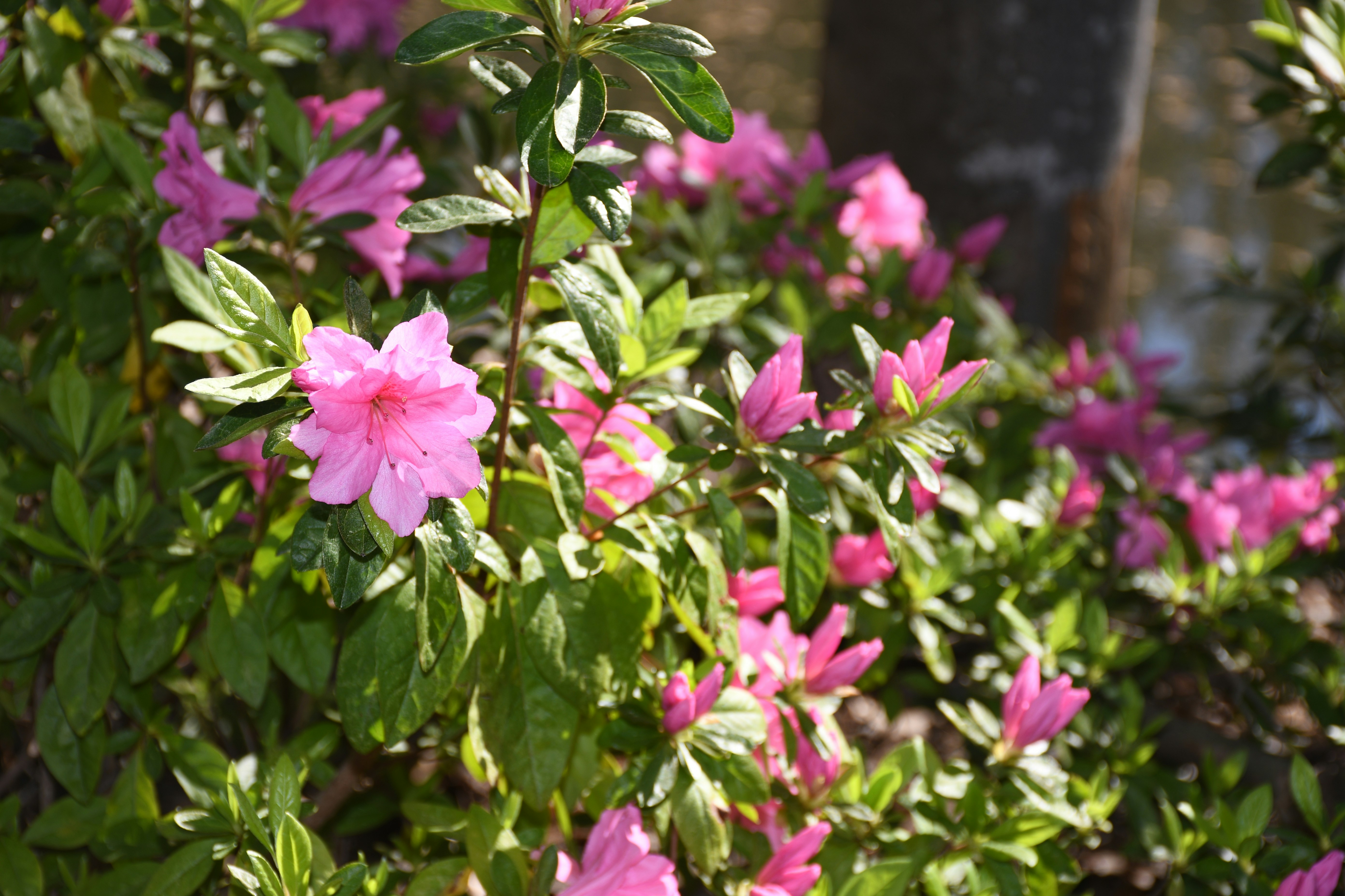 Photo by naturalist_boat