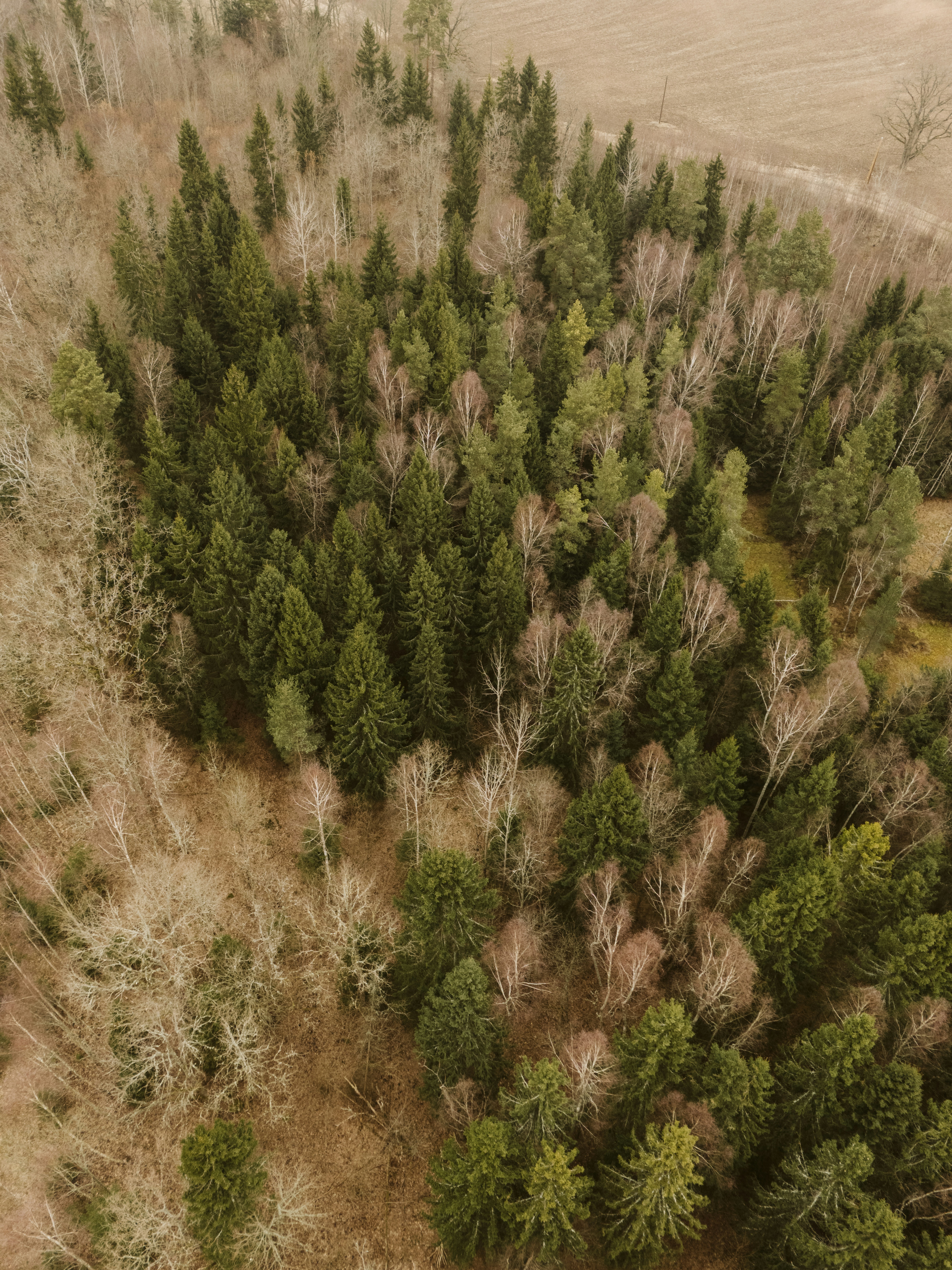 Photo by vilkuaivars