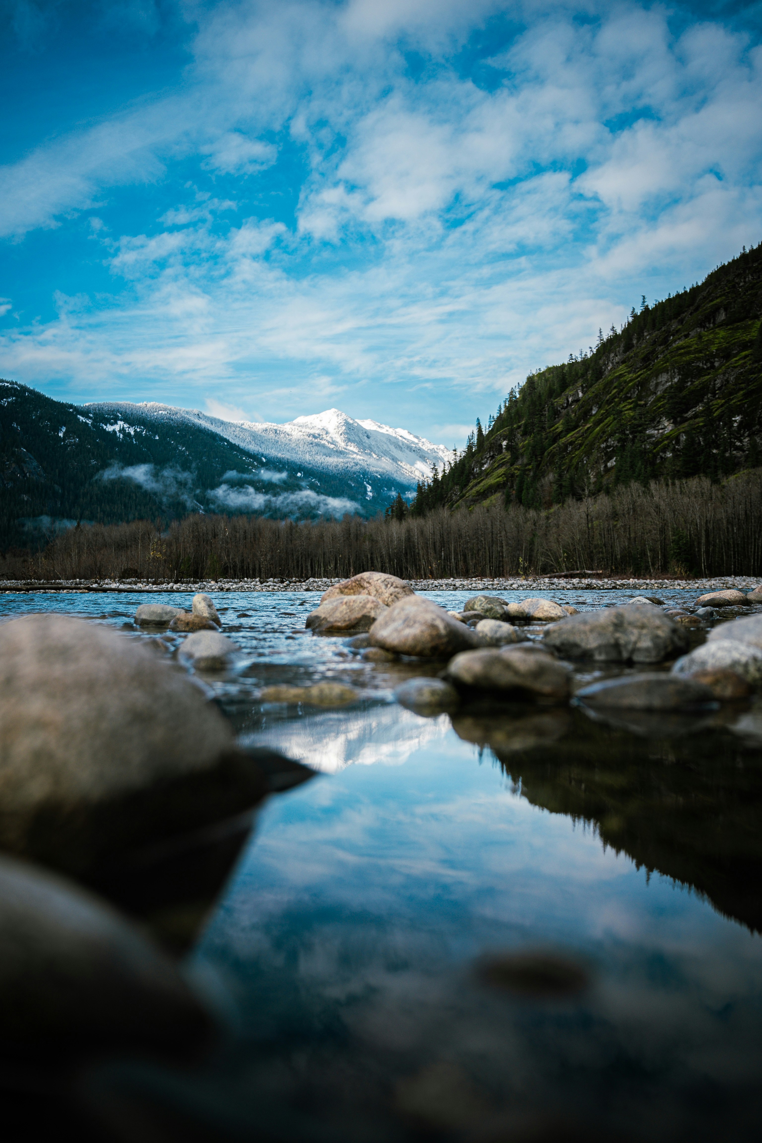 Photo by leonidas718