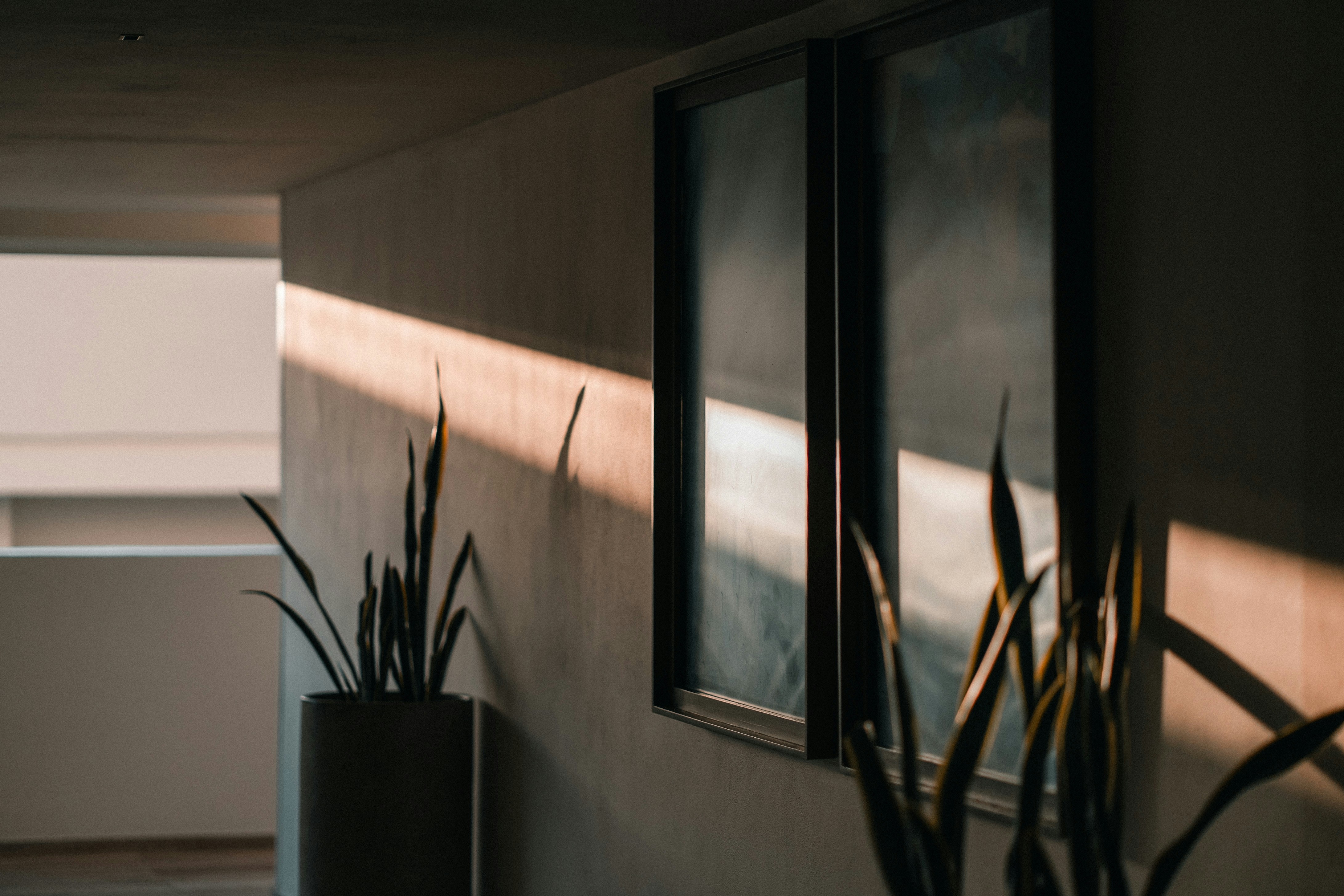 Photo by leonidas718