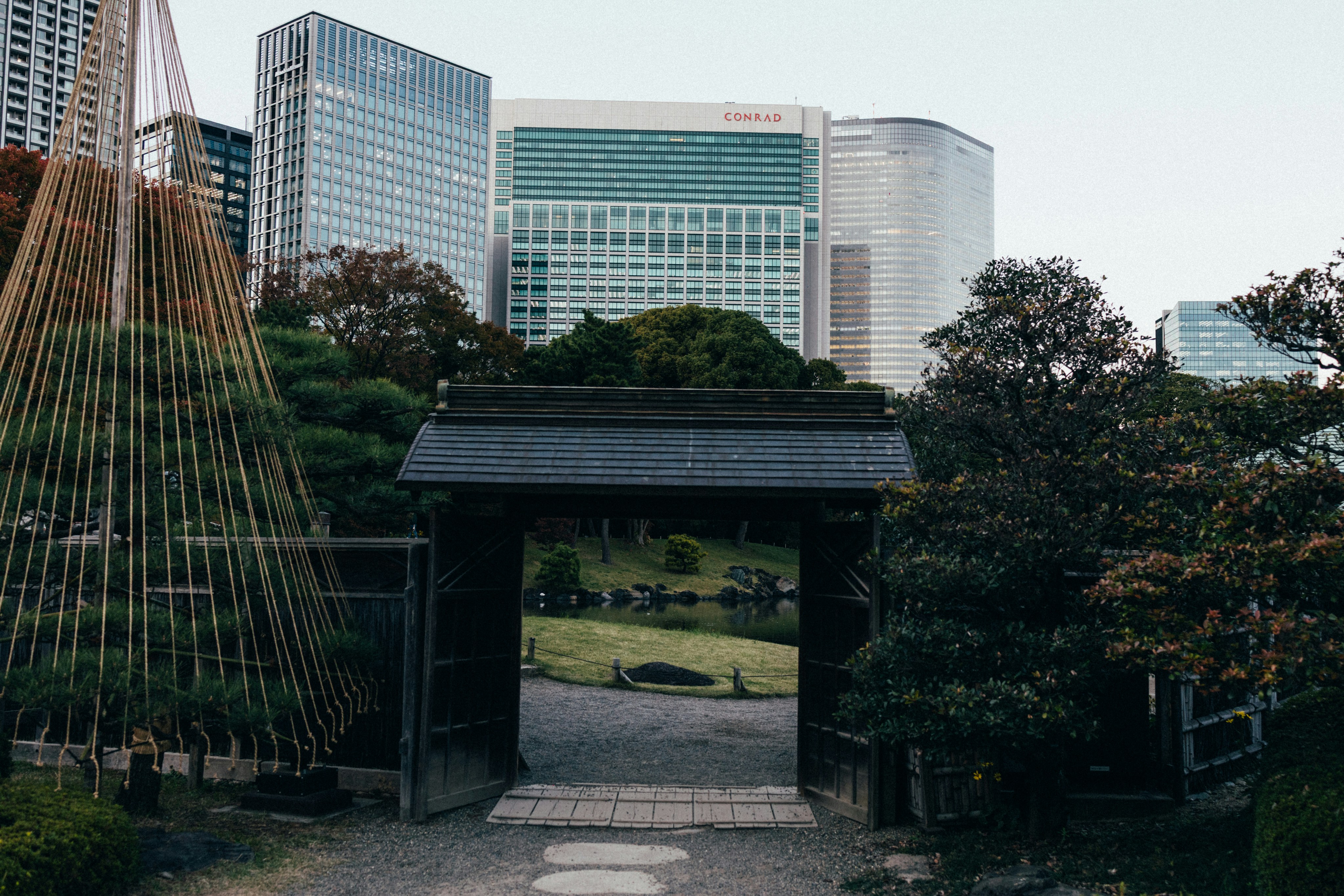 Photo by tsuyoshikozu