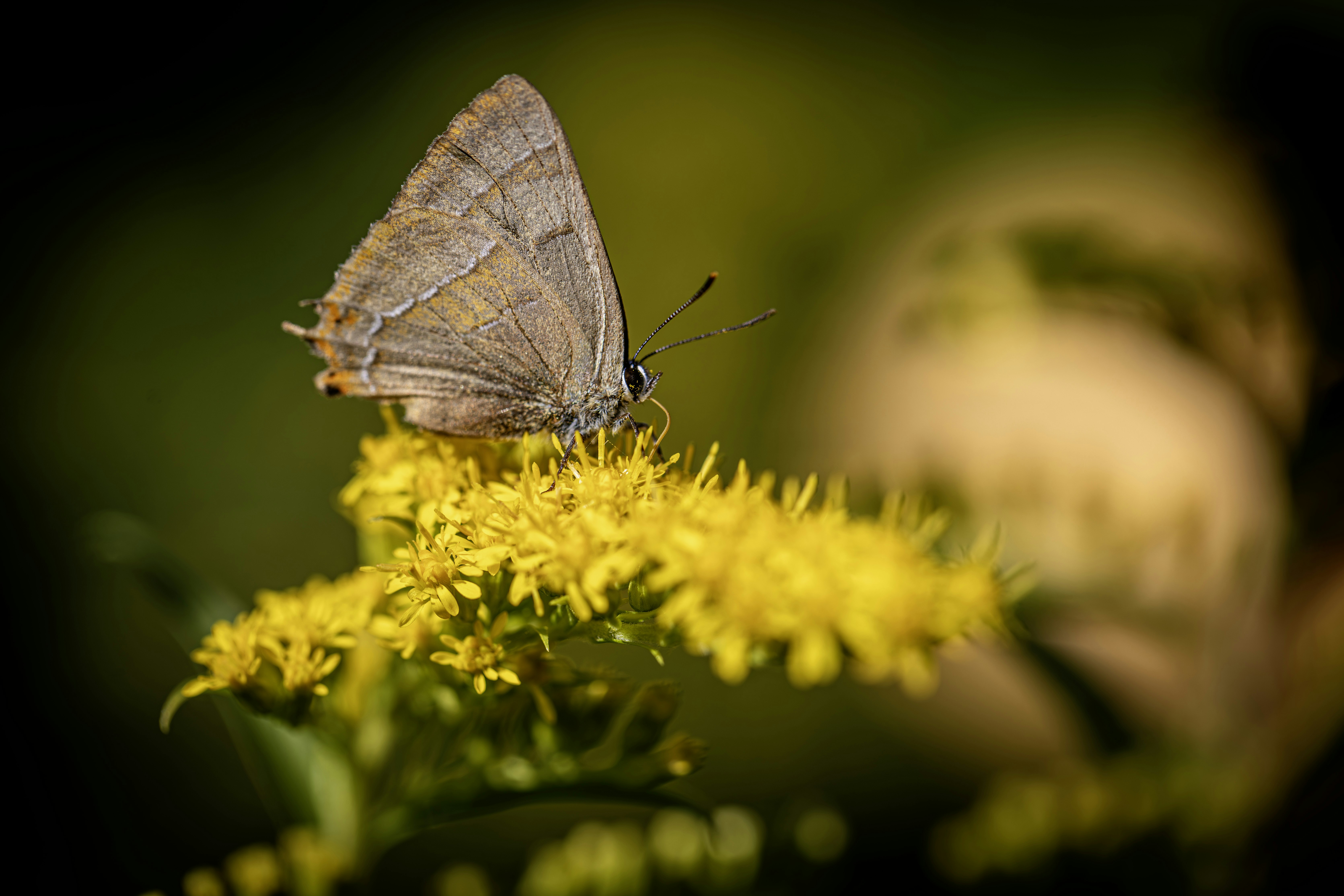 Photo by erik_karits