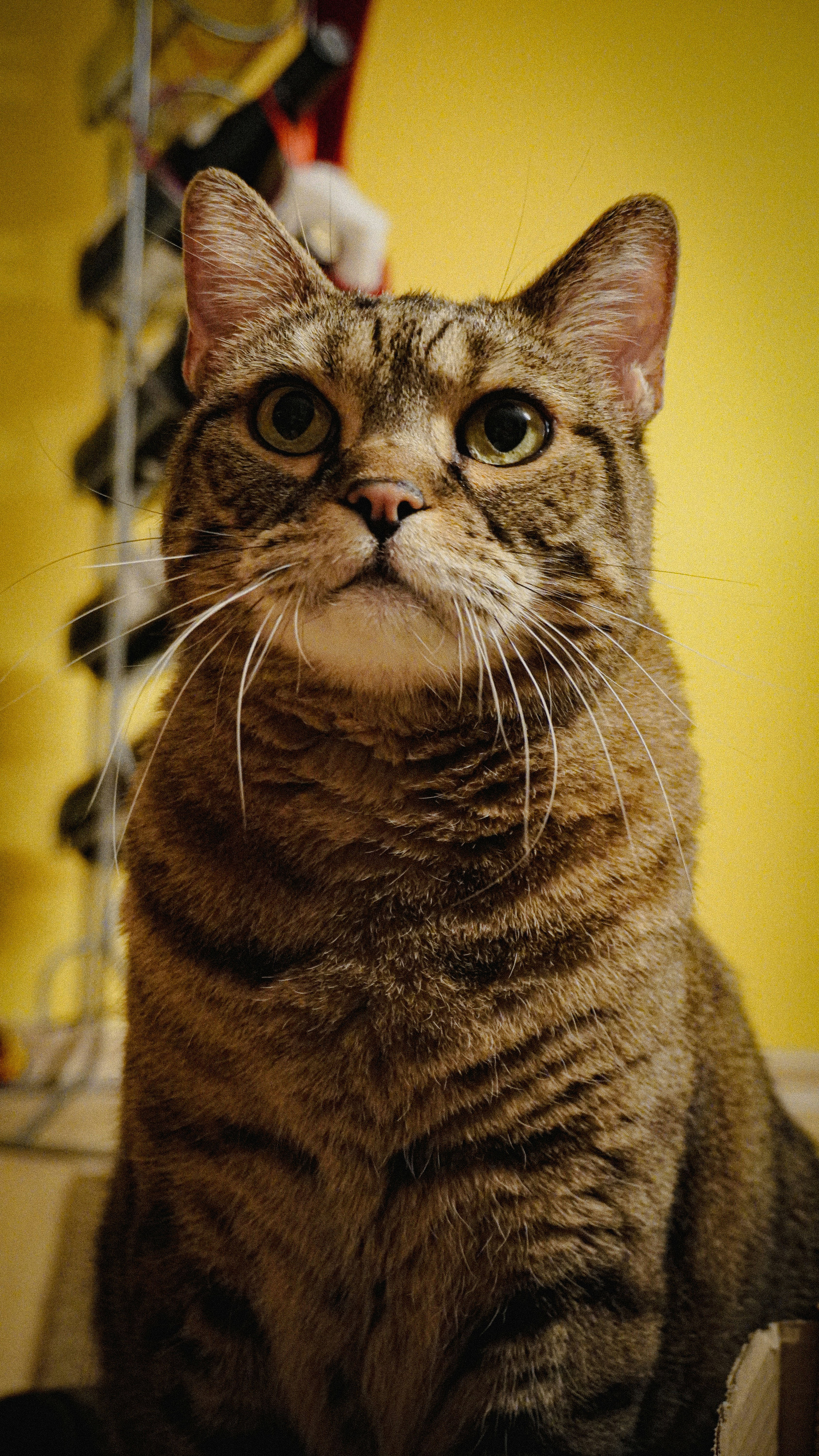 Photo by neuweltphotography