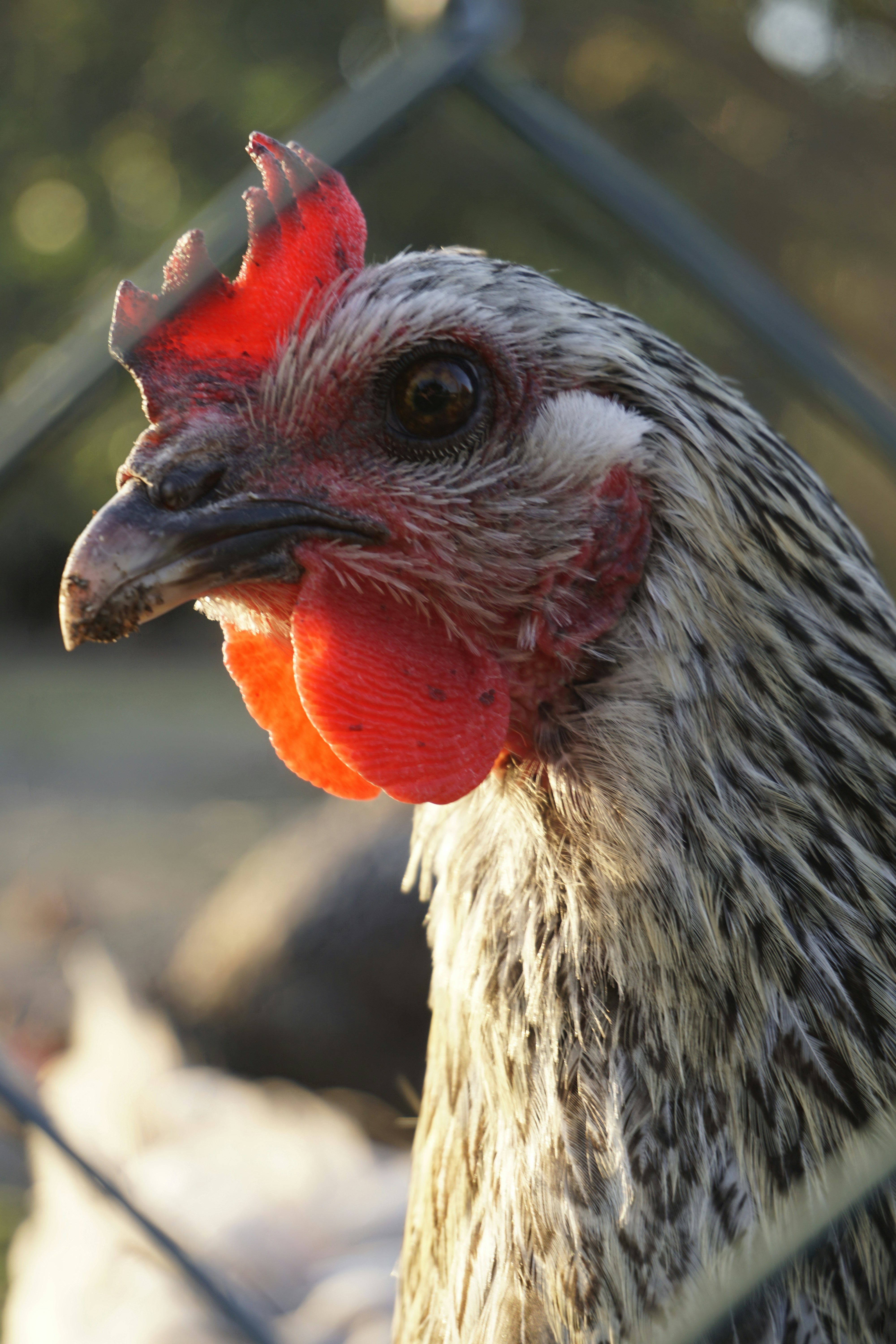 Photo by neuweltphotography