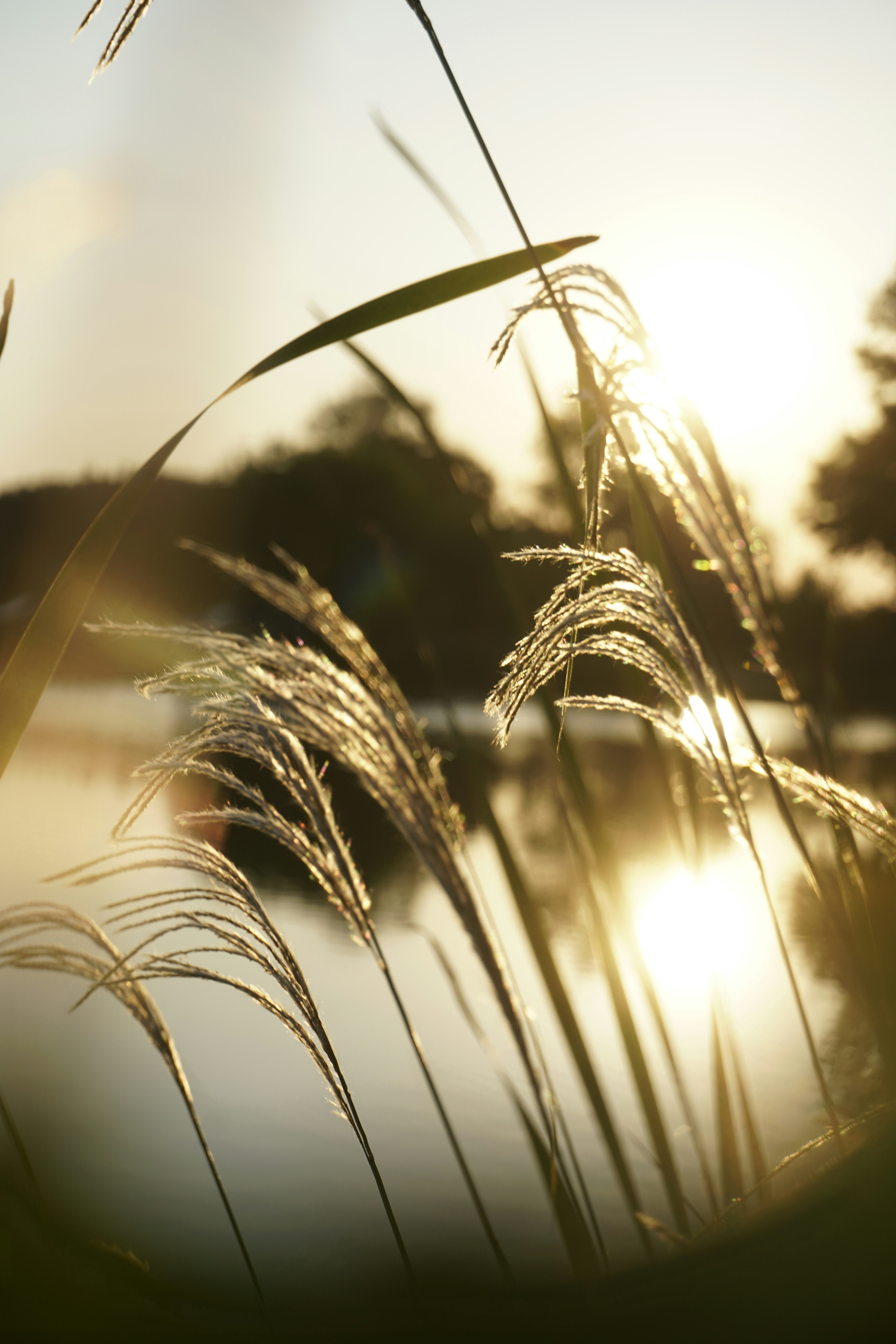 Photo by neuweltphotography