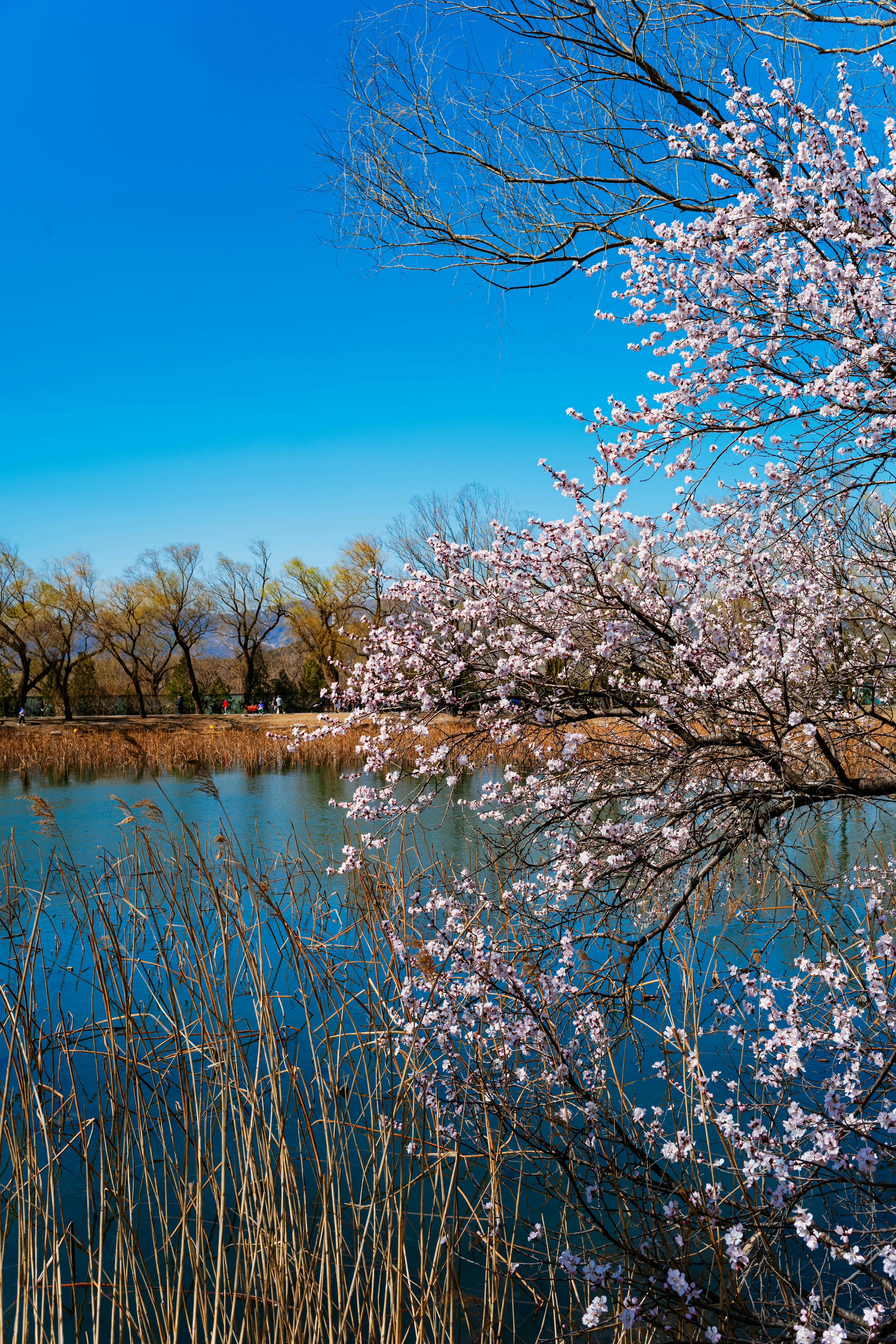 Photo by tommaomaoer