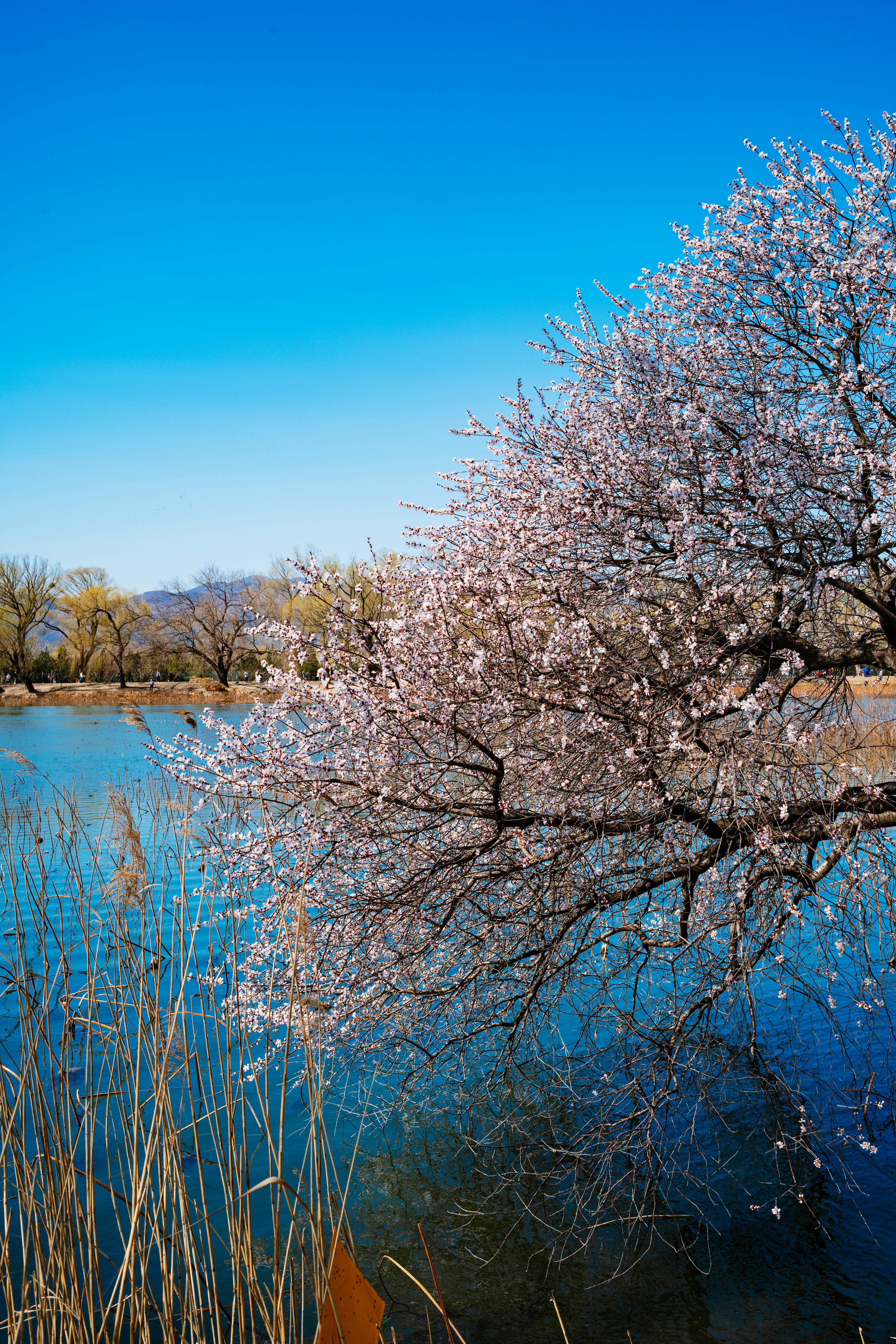 Photo by tommaomaoer