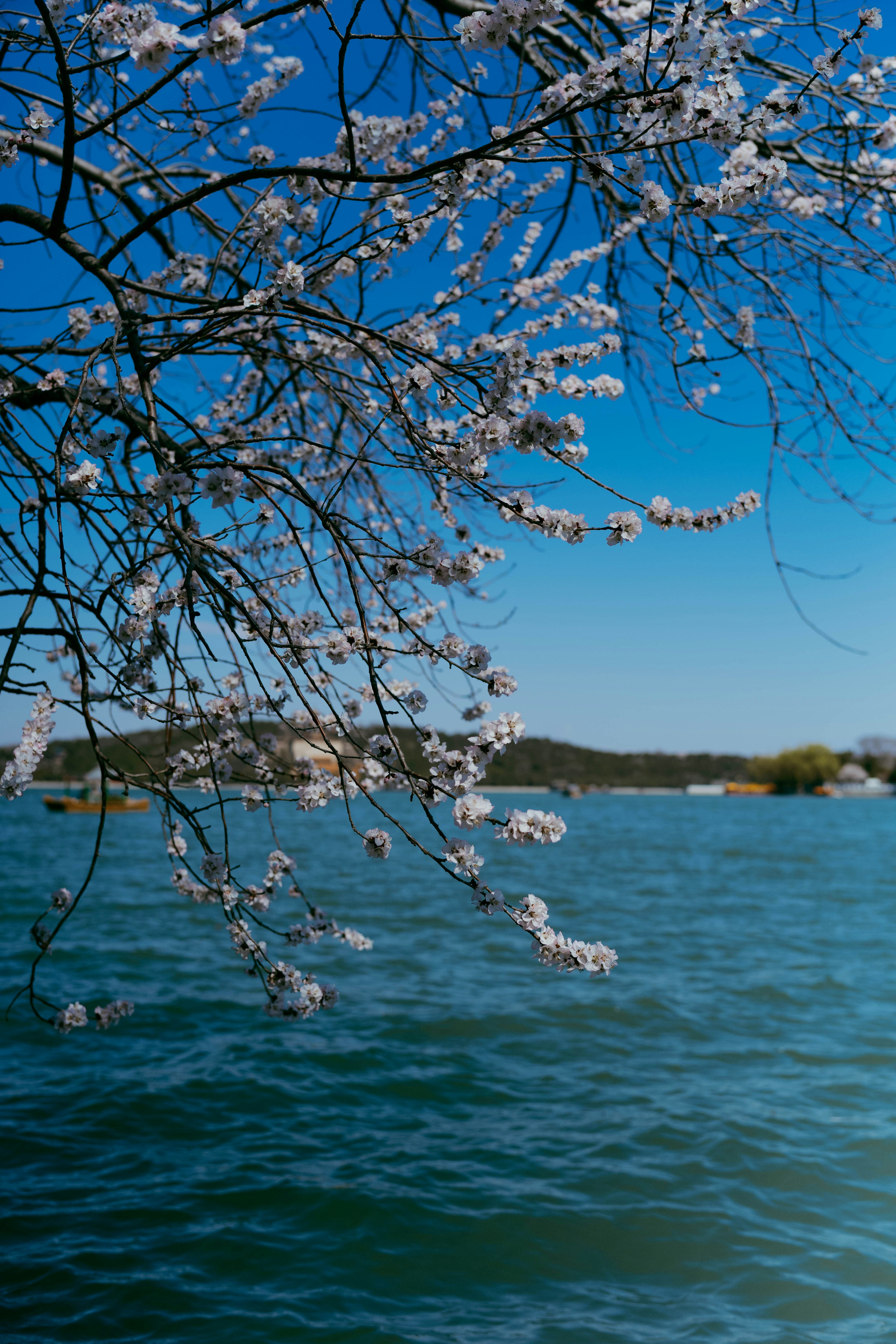 Photo by tommaomaoer