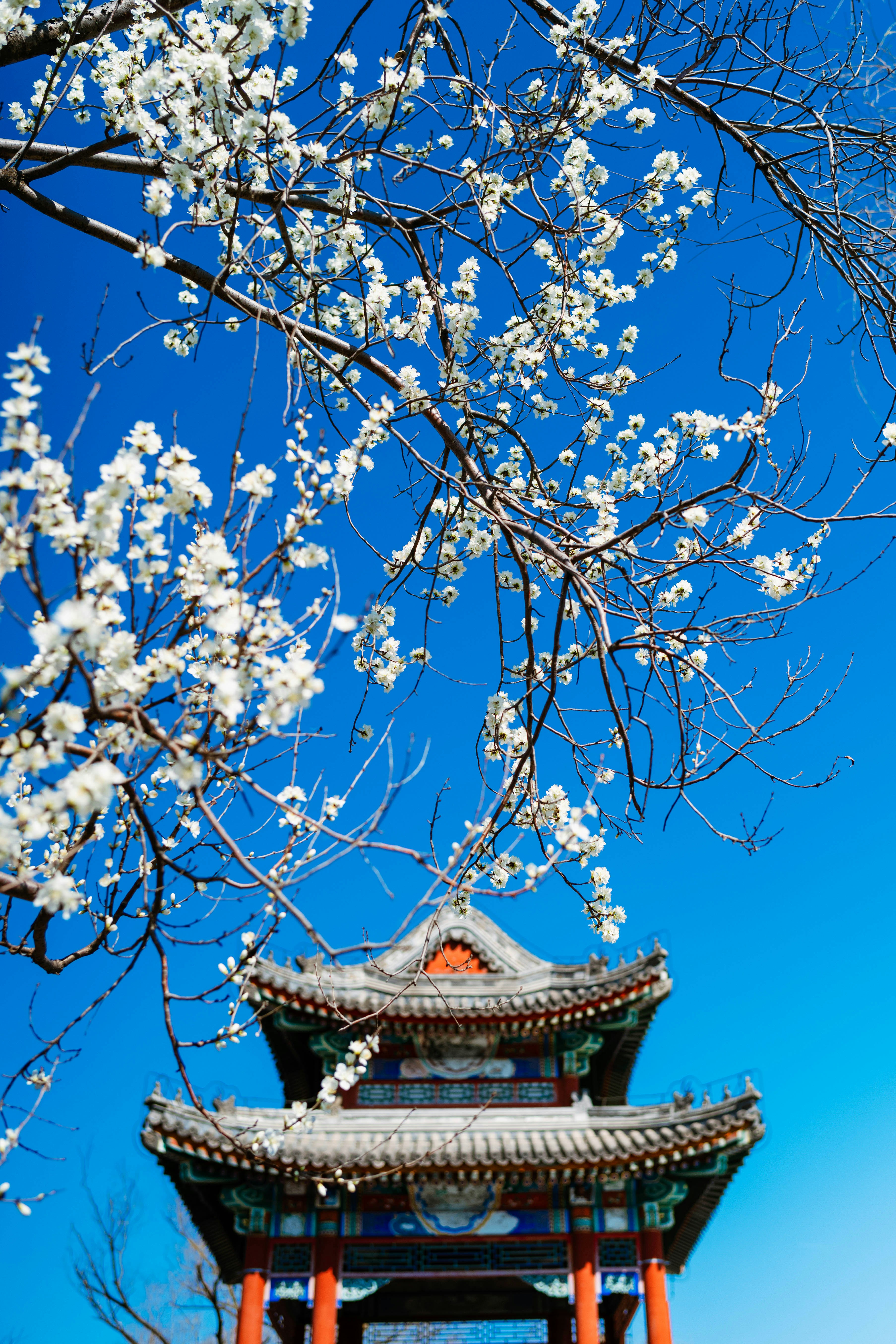 Photo by tommaomaoer