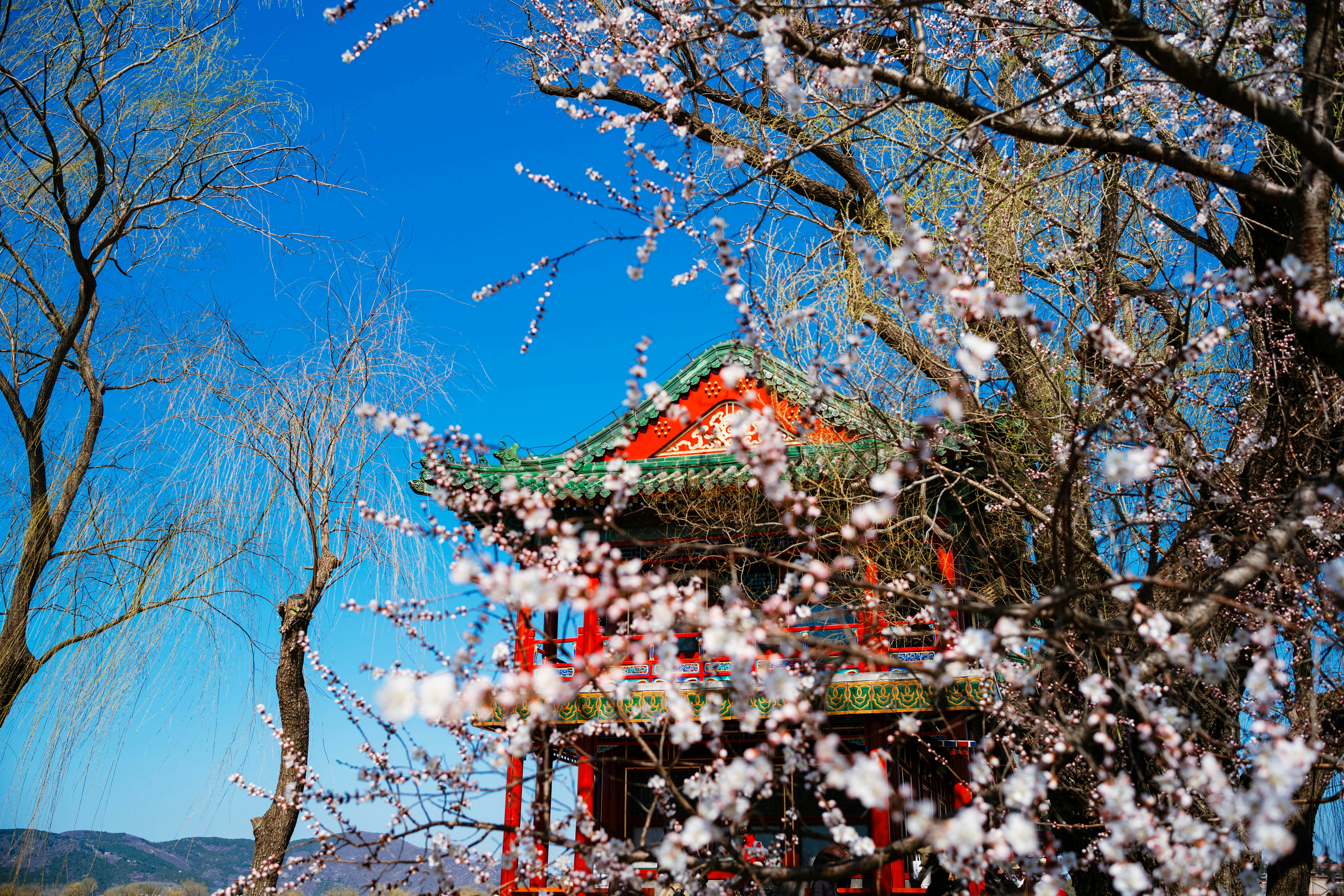 Photo by tommaomaoer