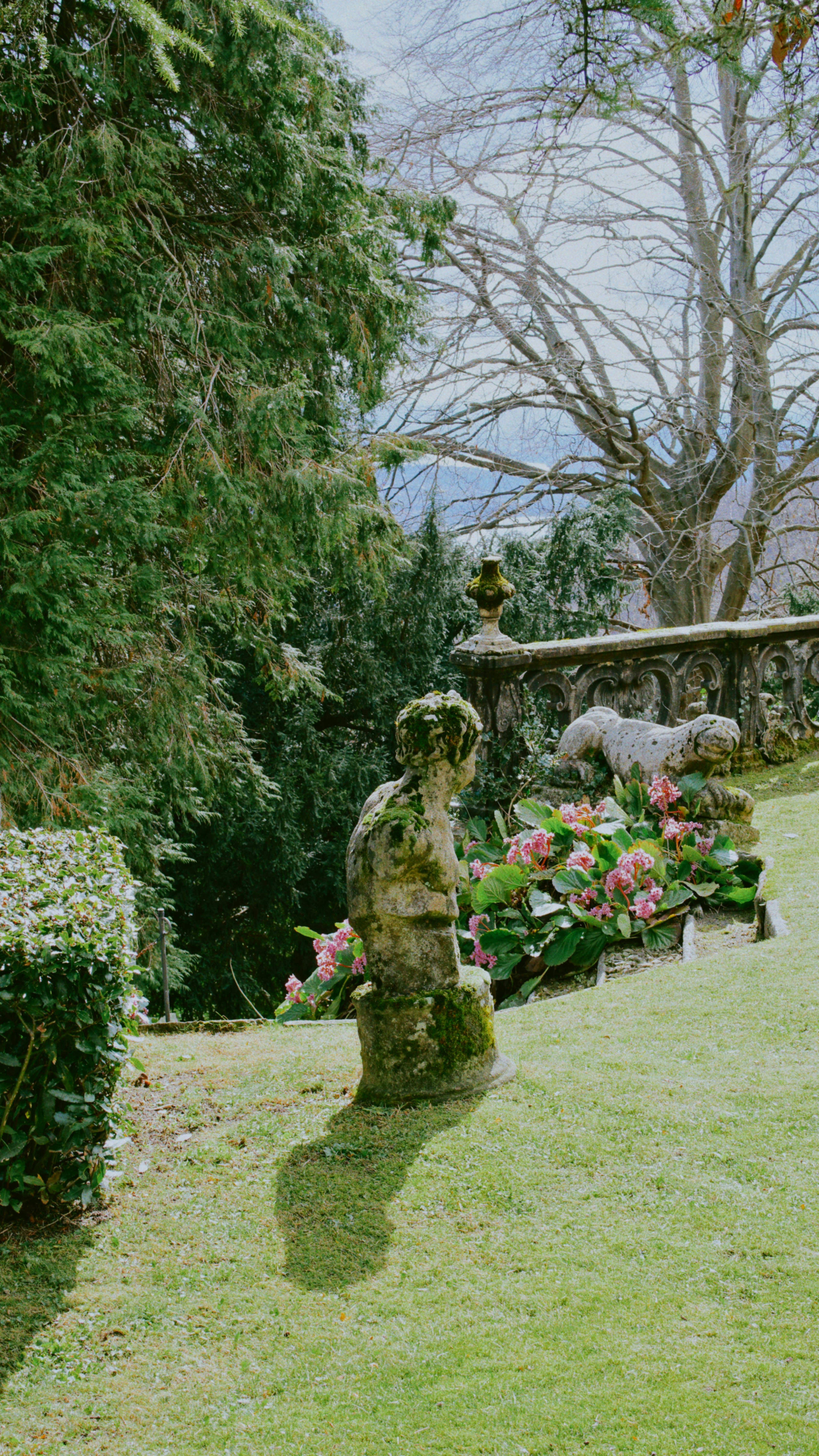 Italian garden spring