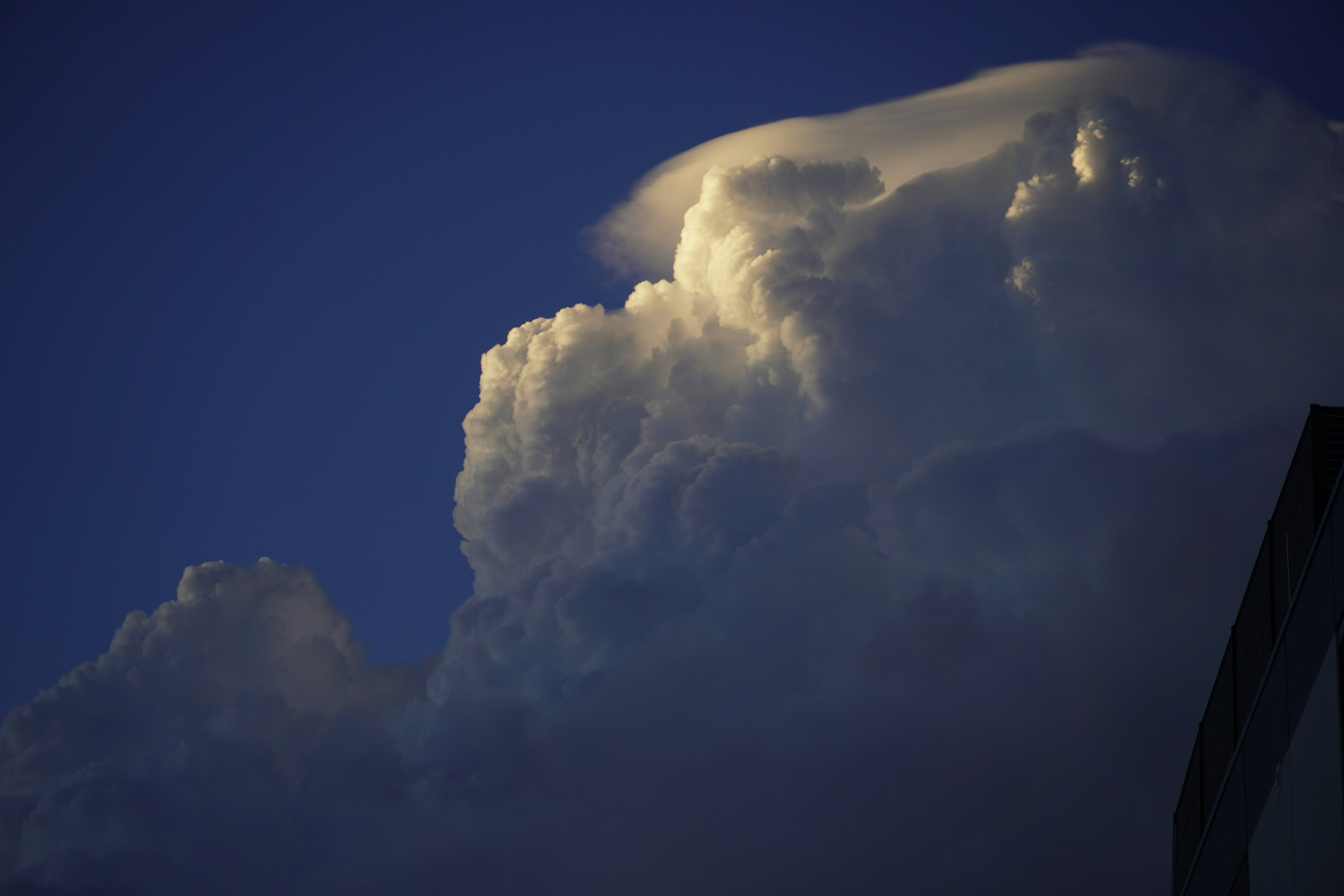 Photo by greenliustudio