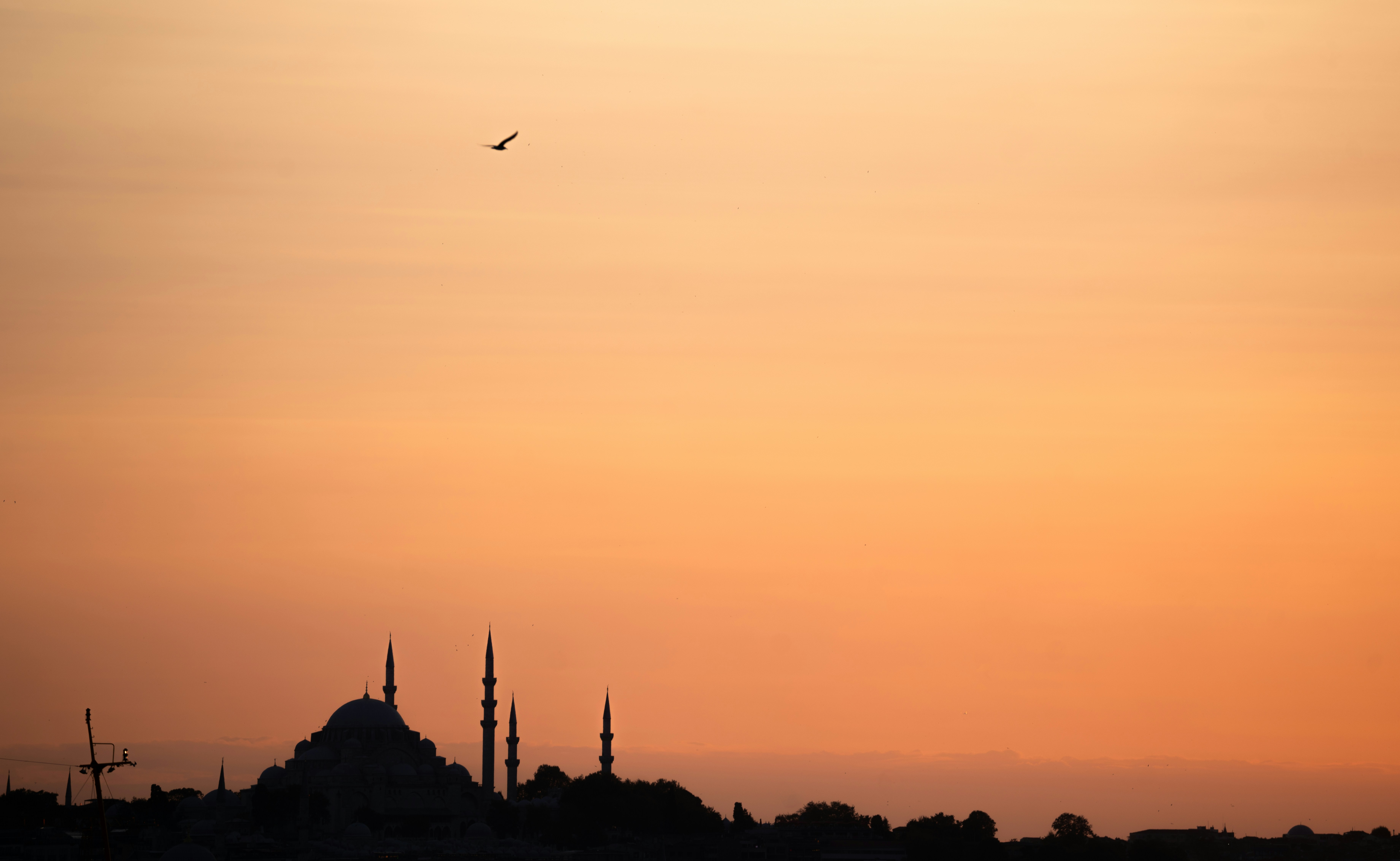 Photo by intricateexplorer