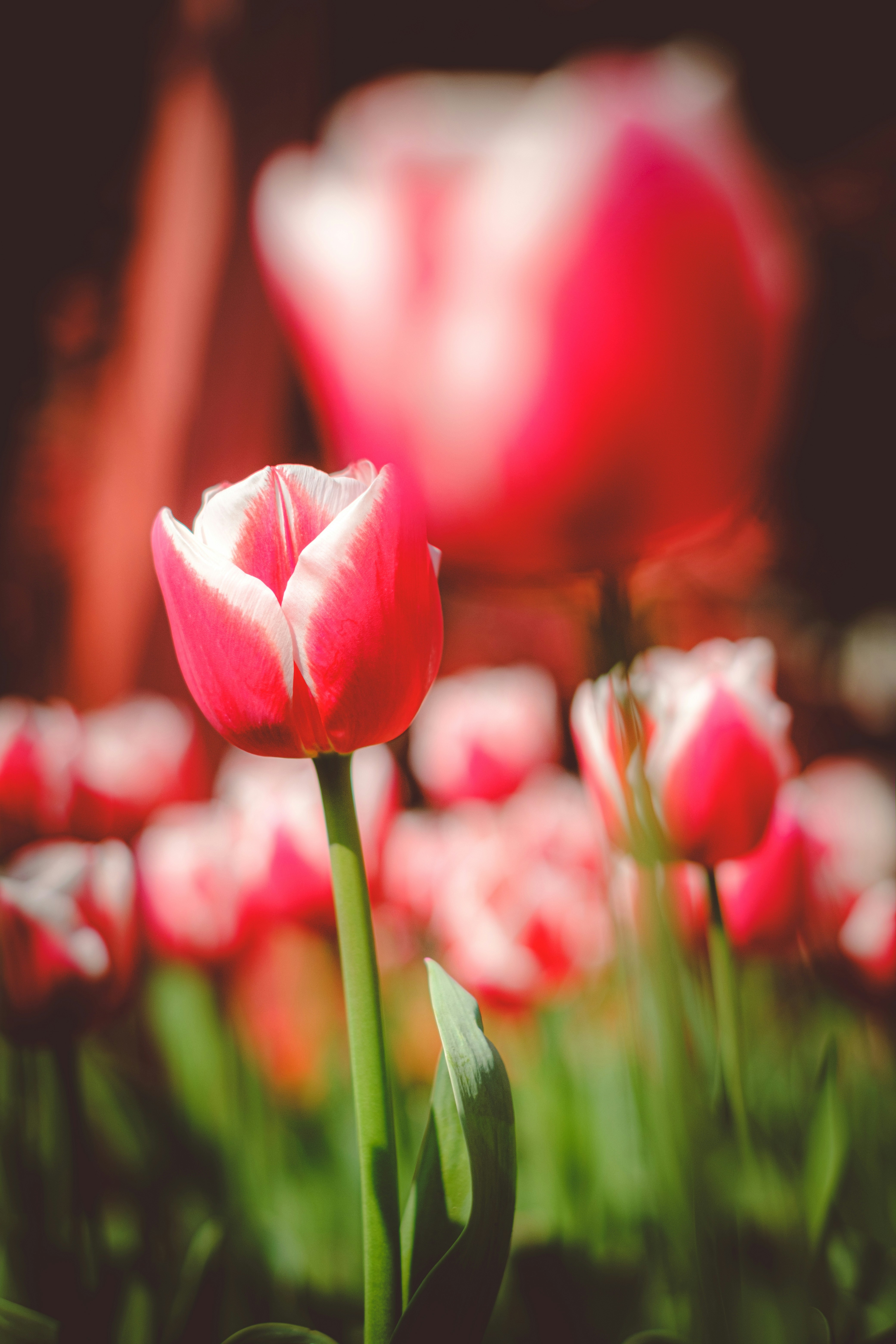 Photo by wenhao_ruan