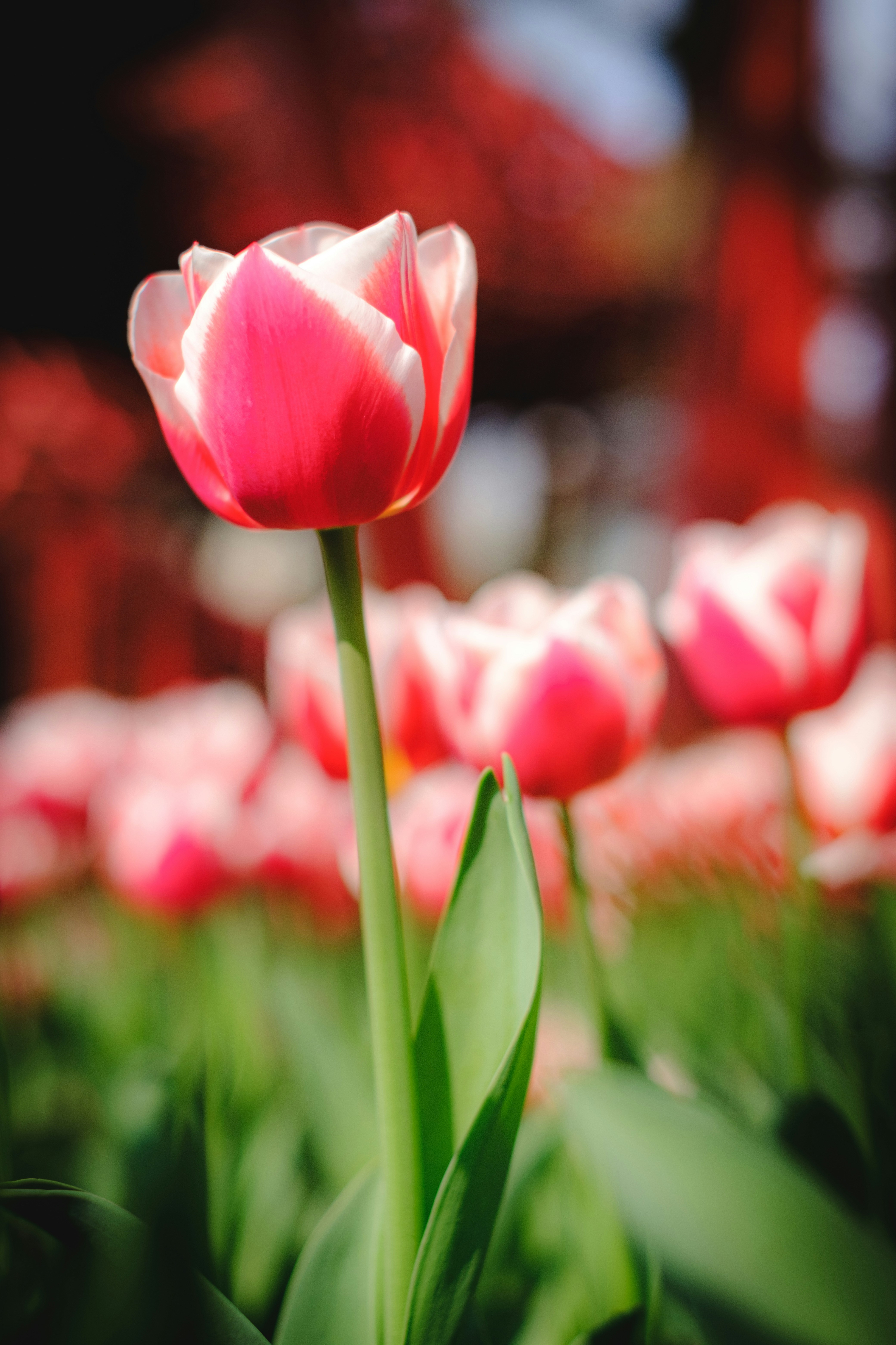 Photo by wenhao_ruan