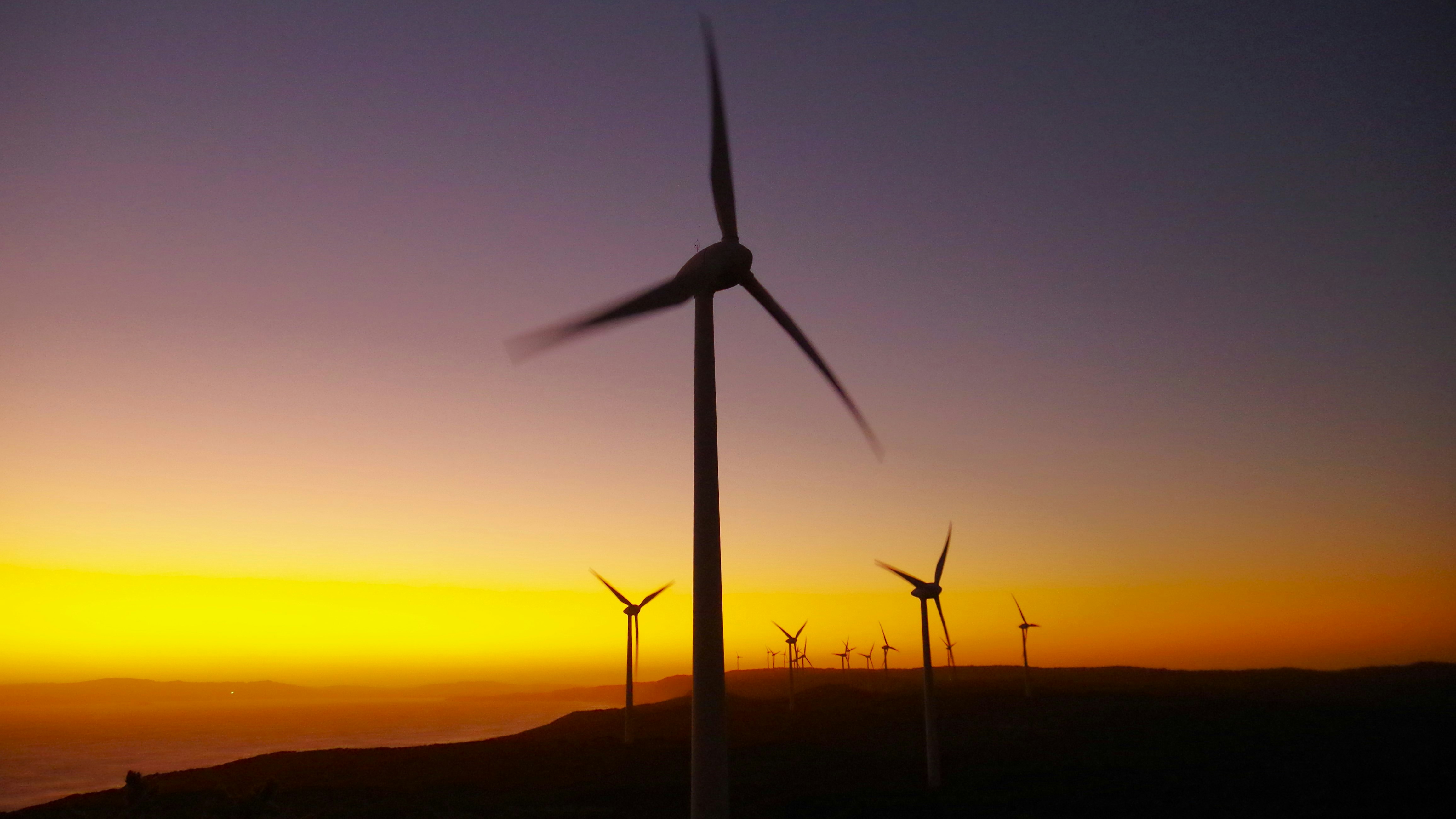 Wind farm at sunset - Socially responsible investing