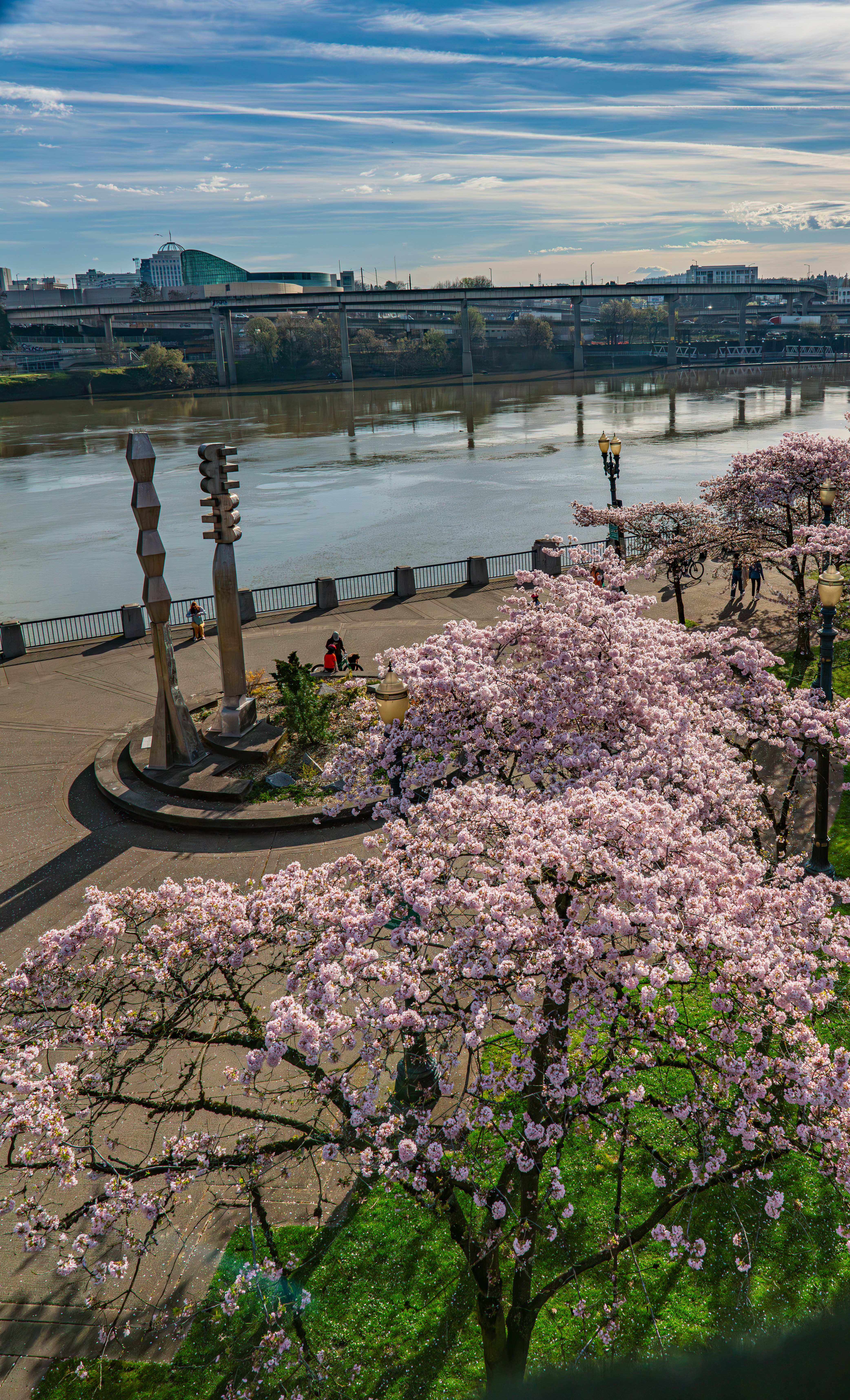 Tom McCall Waterfront Park photo 2