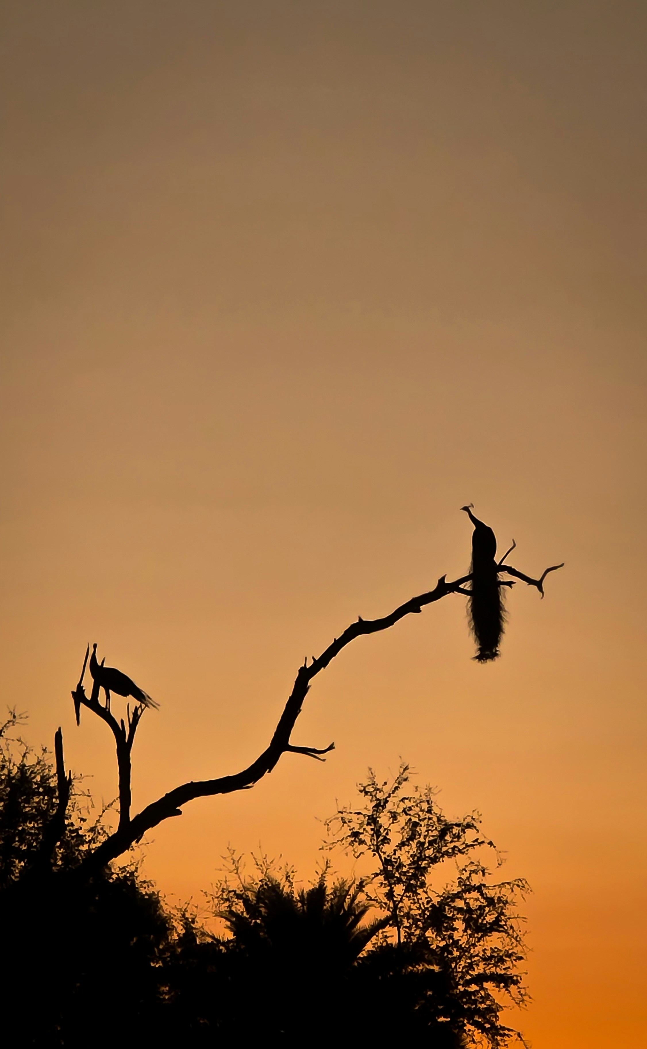 Photo by camsbae_gogul