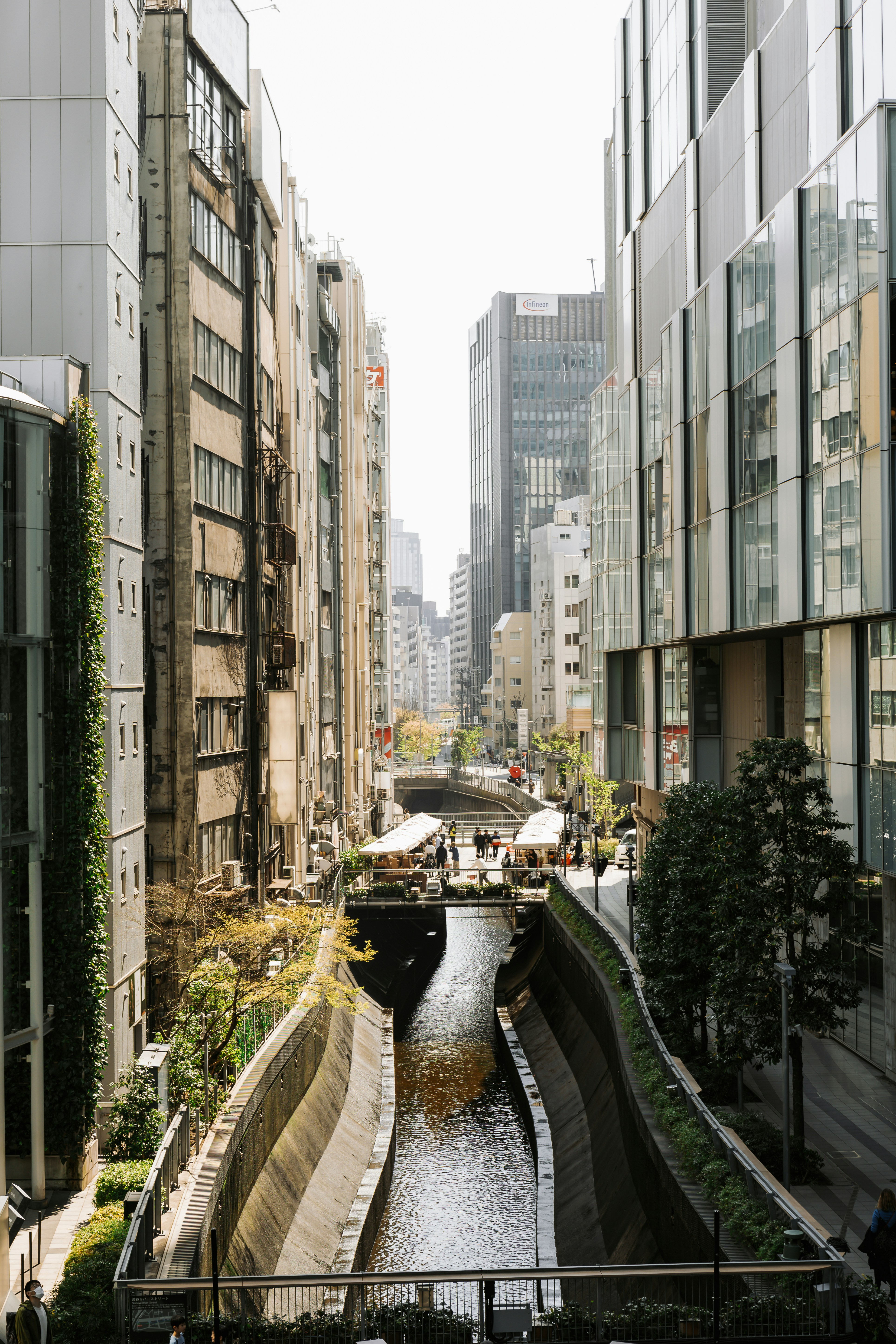 Photo by goosepicklefire