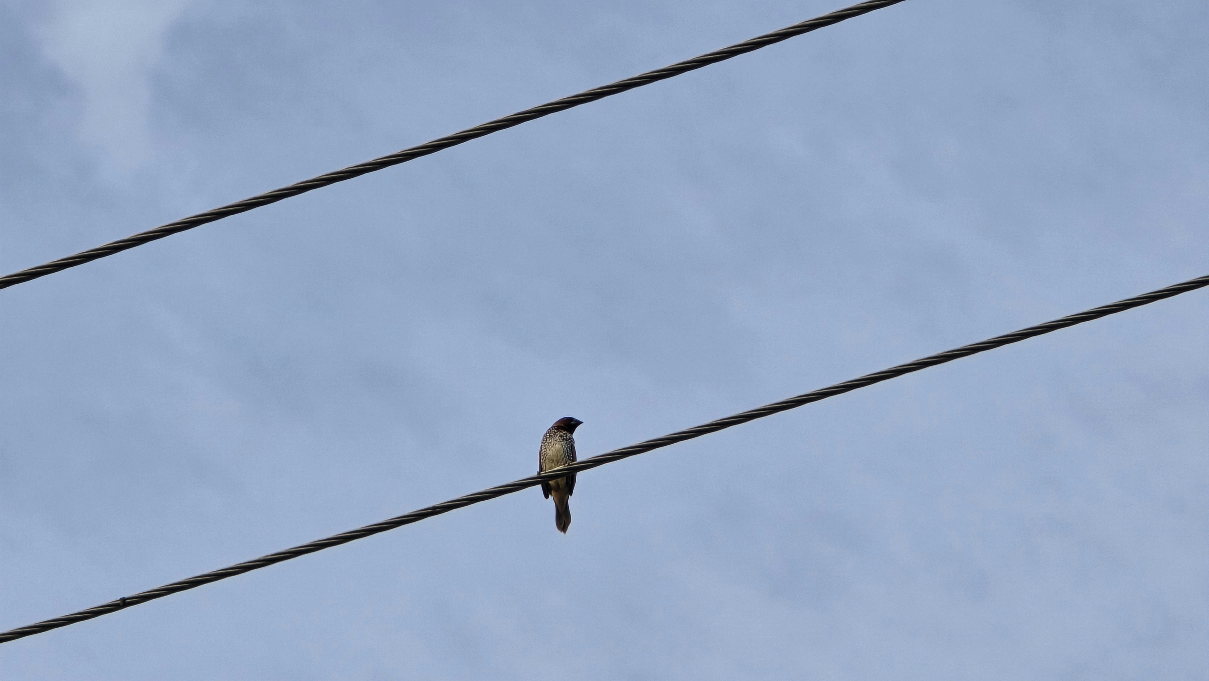 Photo by camsbae_gogul