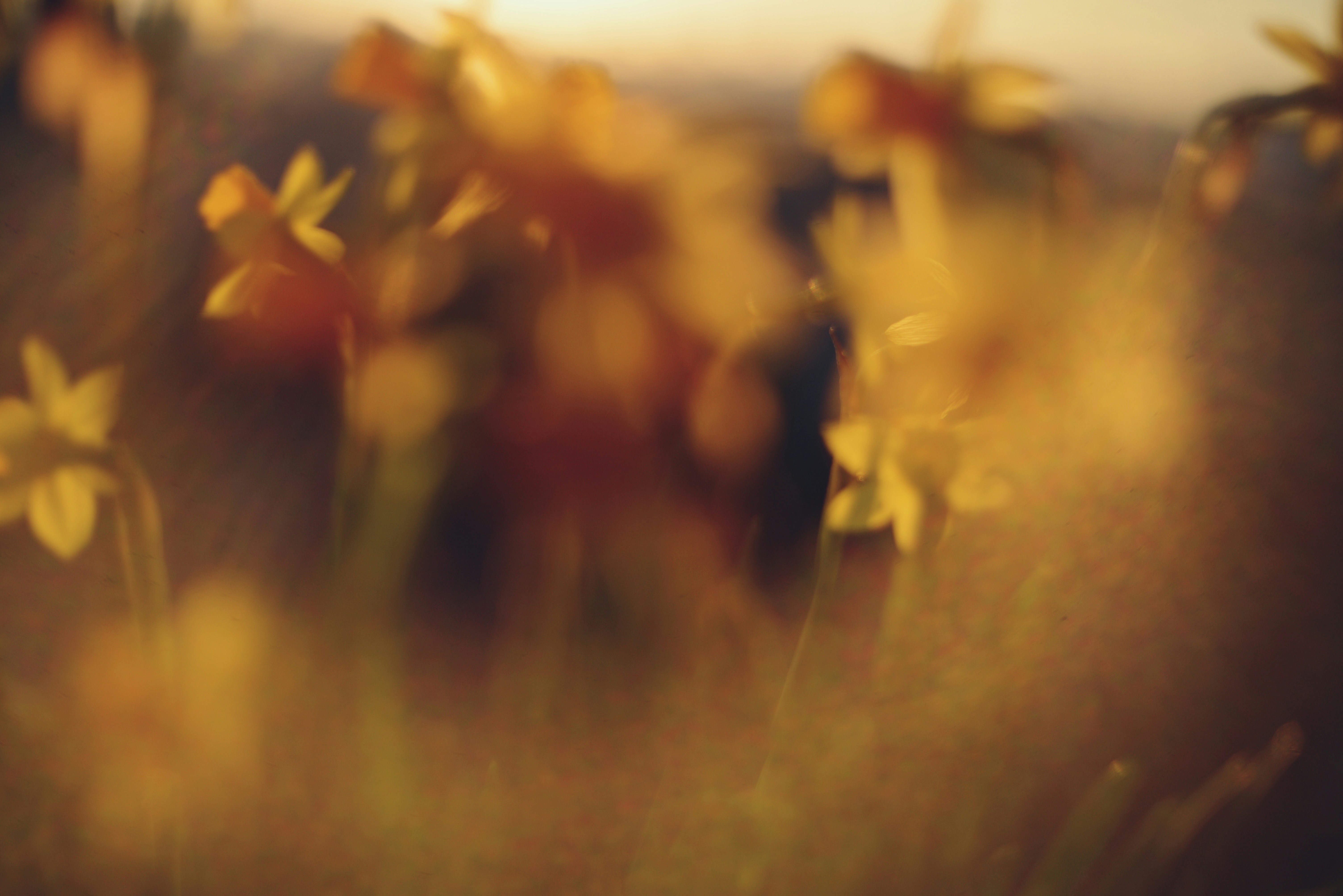 Photo by cherstve_pechivo