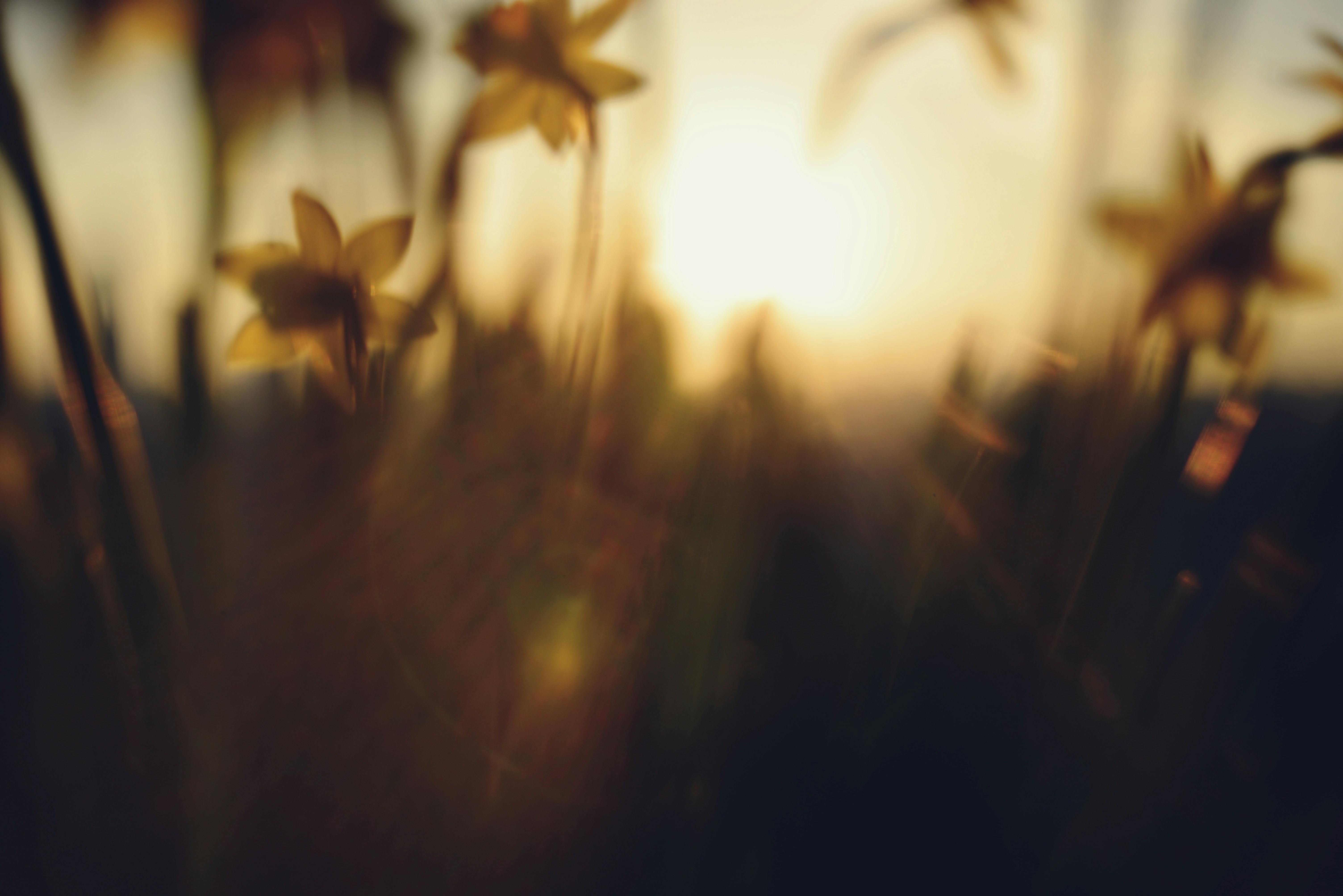 Photo by cherstve_pechivo