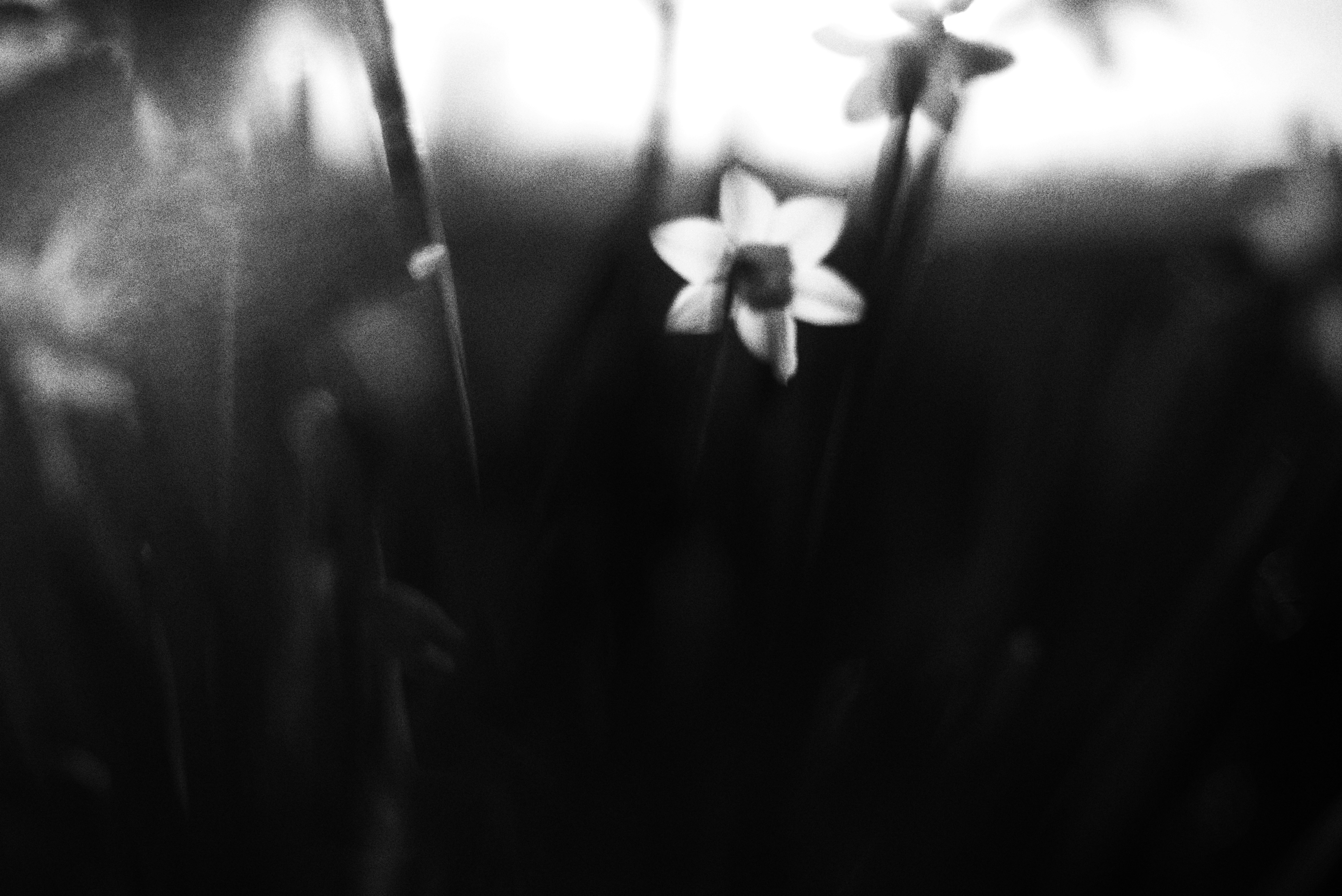 Photo by cherstve_pechivo