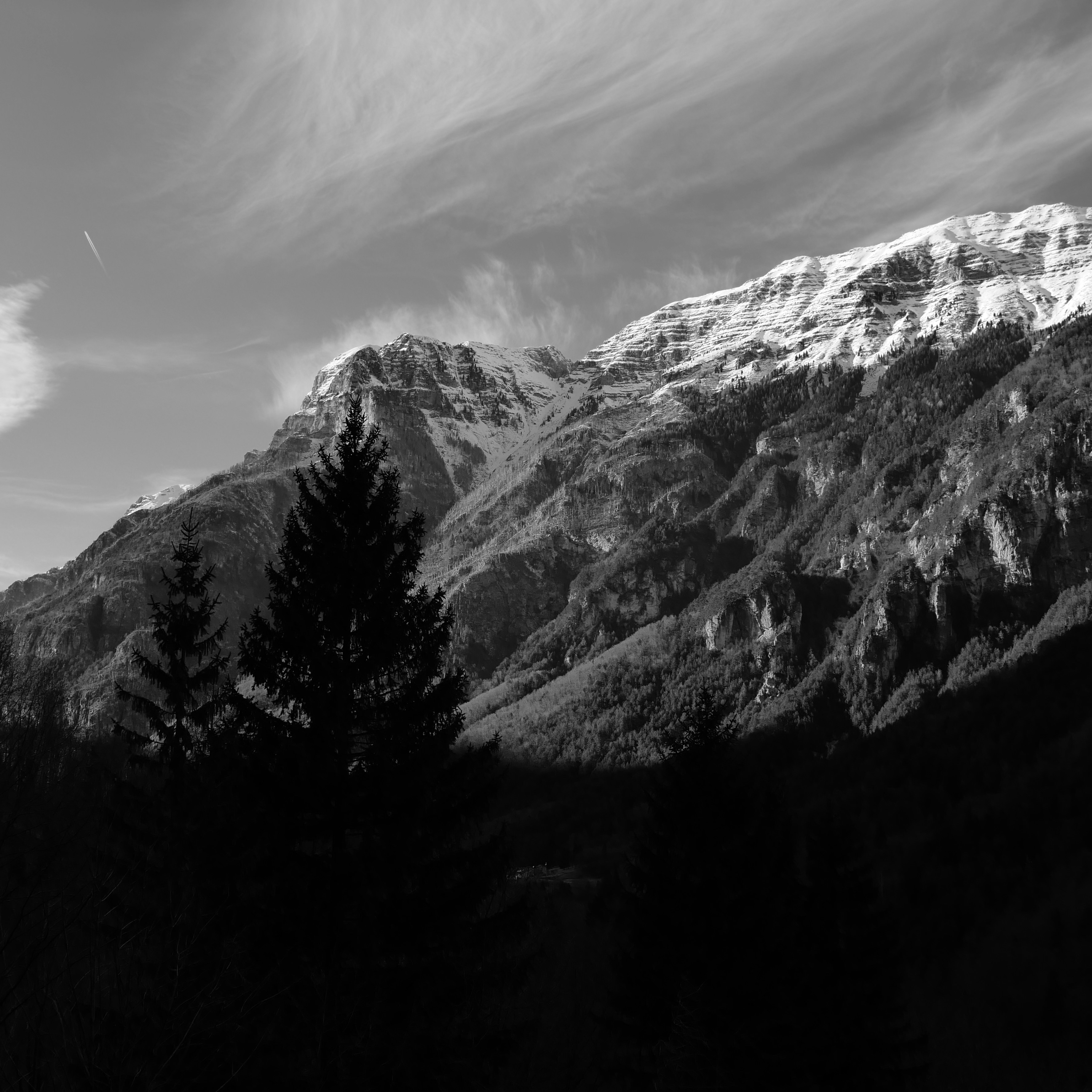 Photo by danielesimon