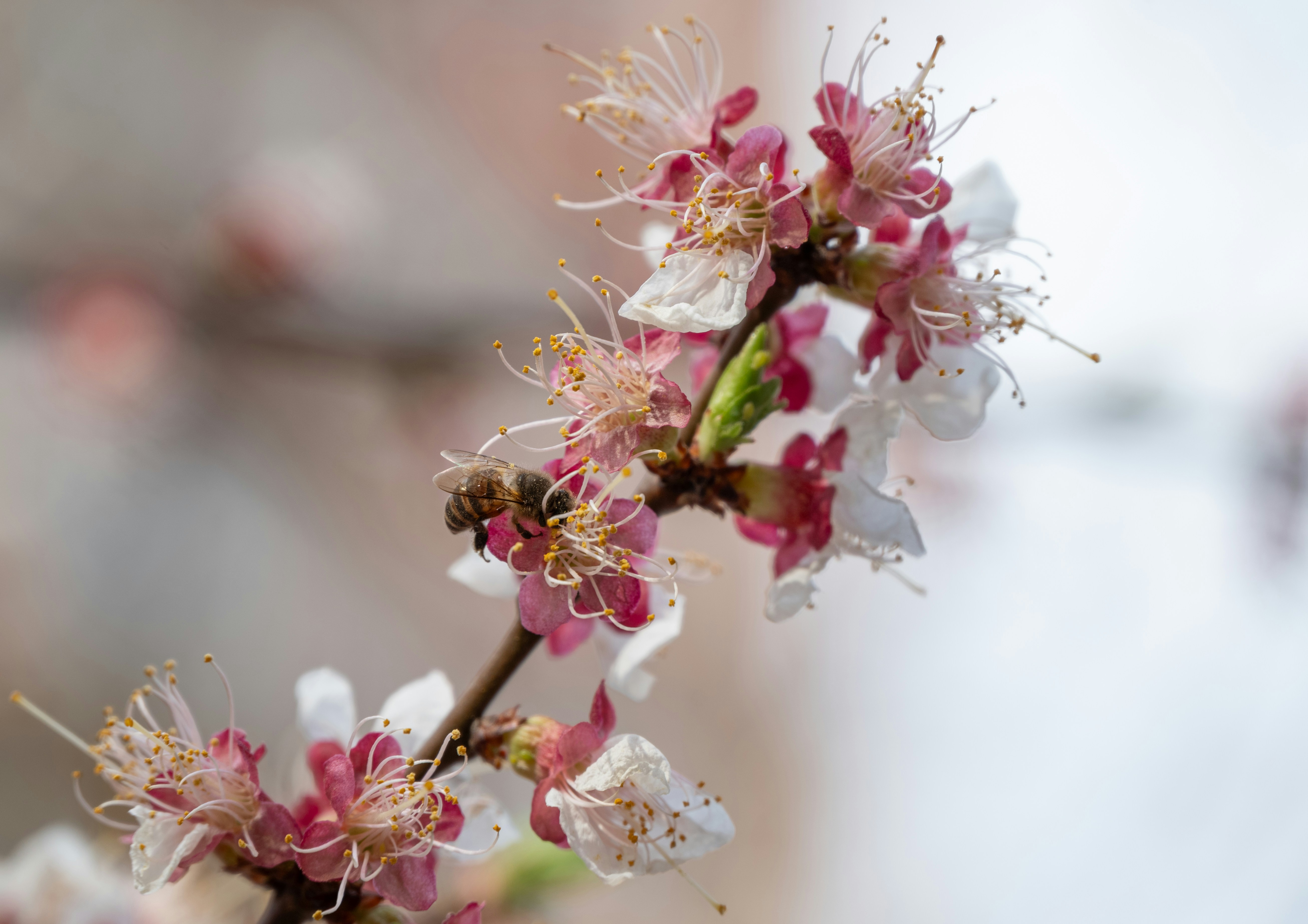 Photo by nikol_royce